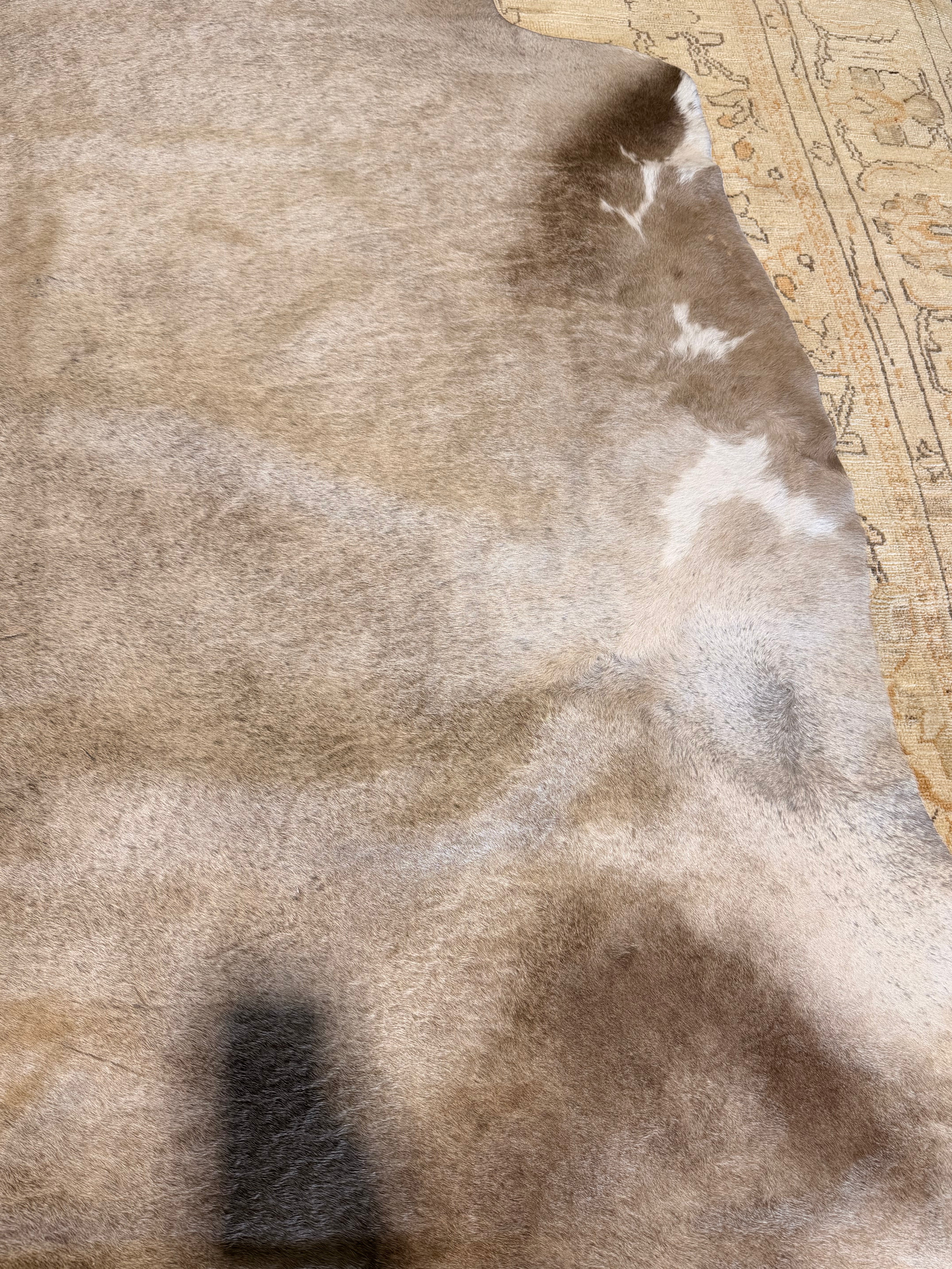 Dark Gray Champagne 7x8.1 Medium Cowhide Rug