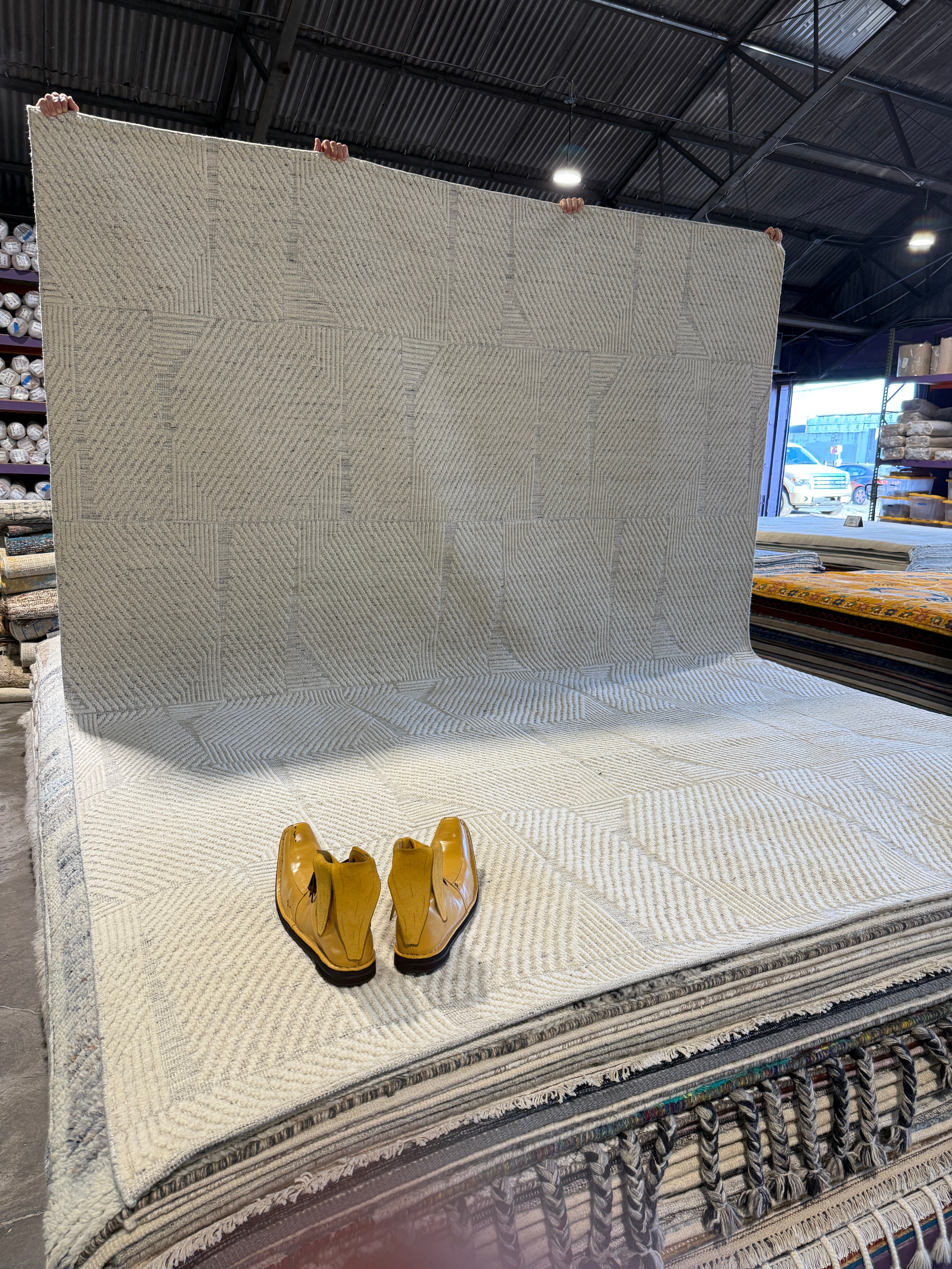 Reinhard 9x12 Hand-Knotted Silver & Grey Modern