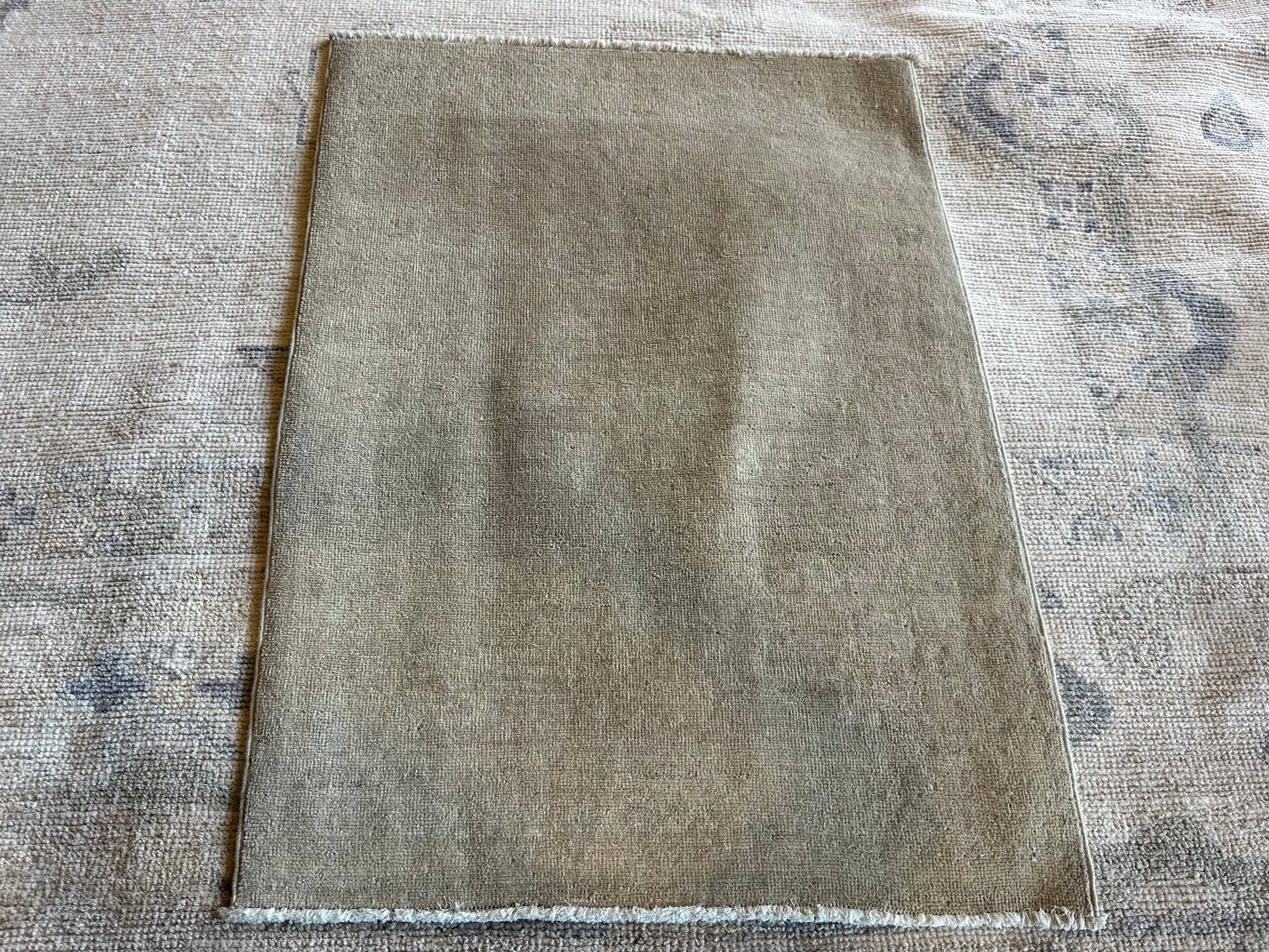 Jazlyn Miller 2.2x3.2 Beige Hand-Knotted Farhan Rug