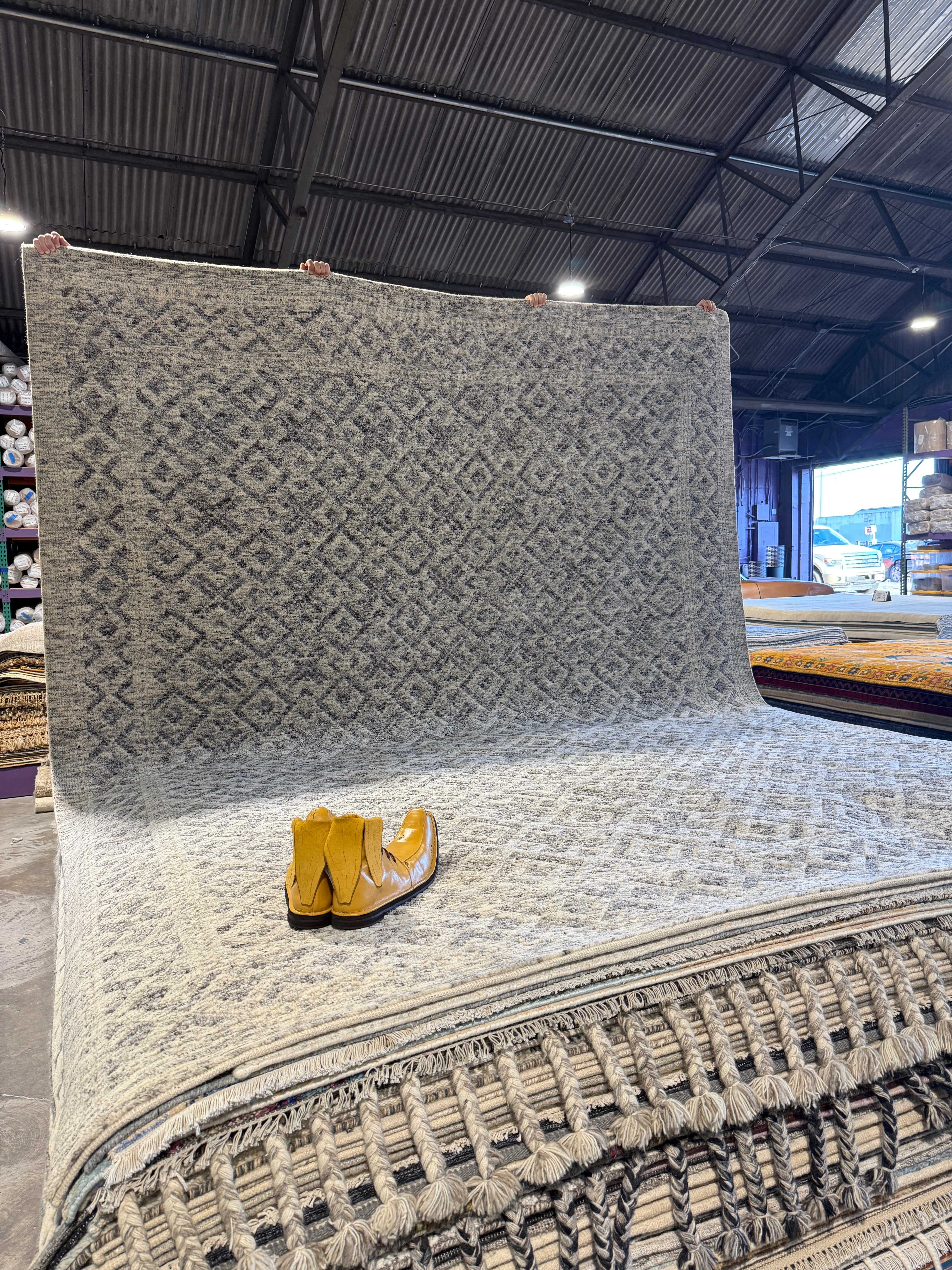 Woody Strode 9.3x11.9 Hand-Knotted Grey & Silver Modern