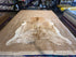 Exotic Medium Large 6x6.10 Cowhide Rug