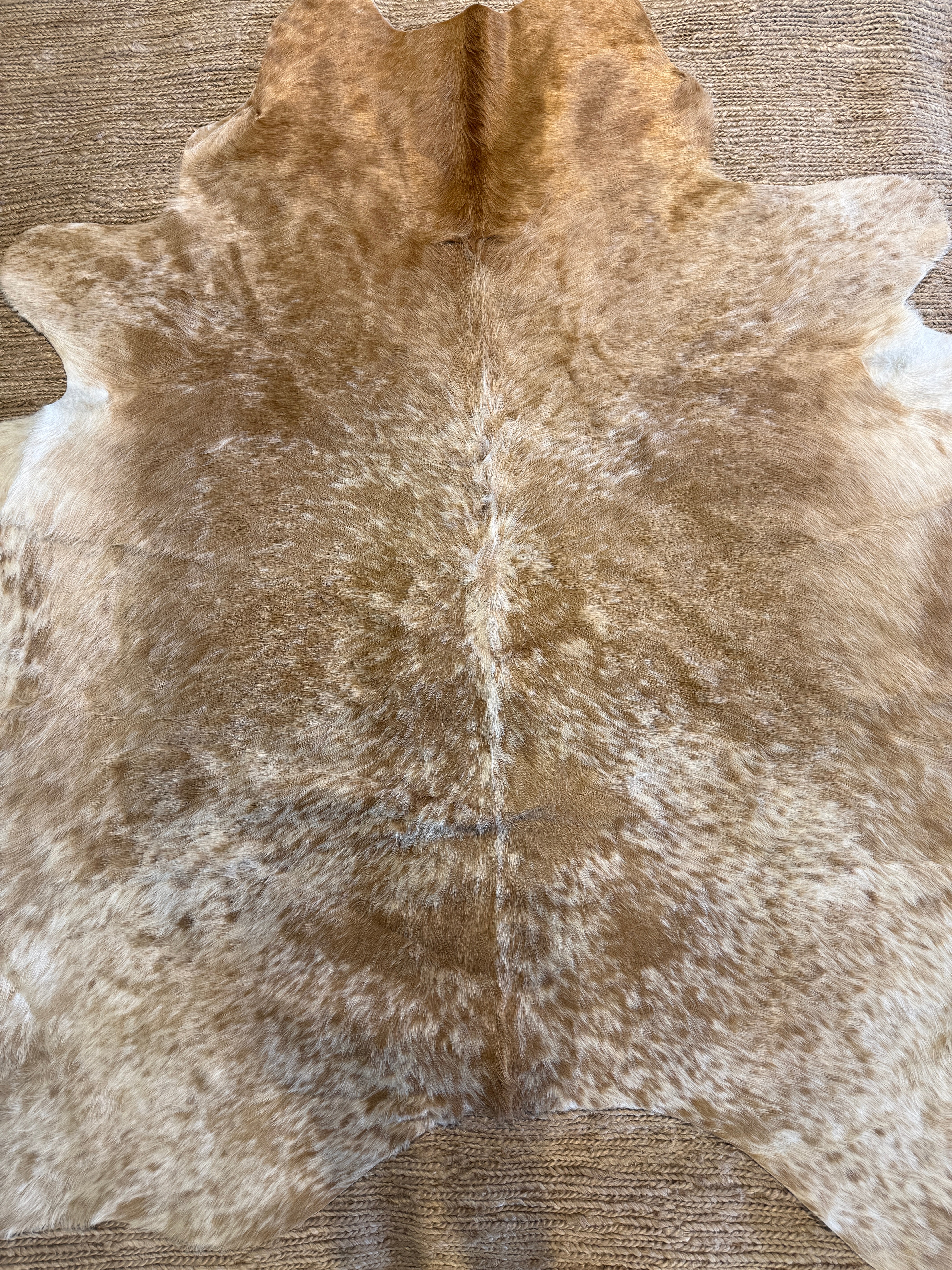 Exotic Medium Large 6x6.10 Cowhide Rug