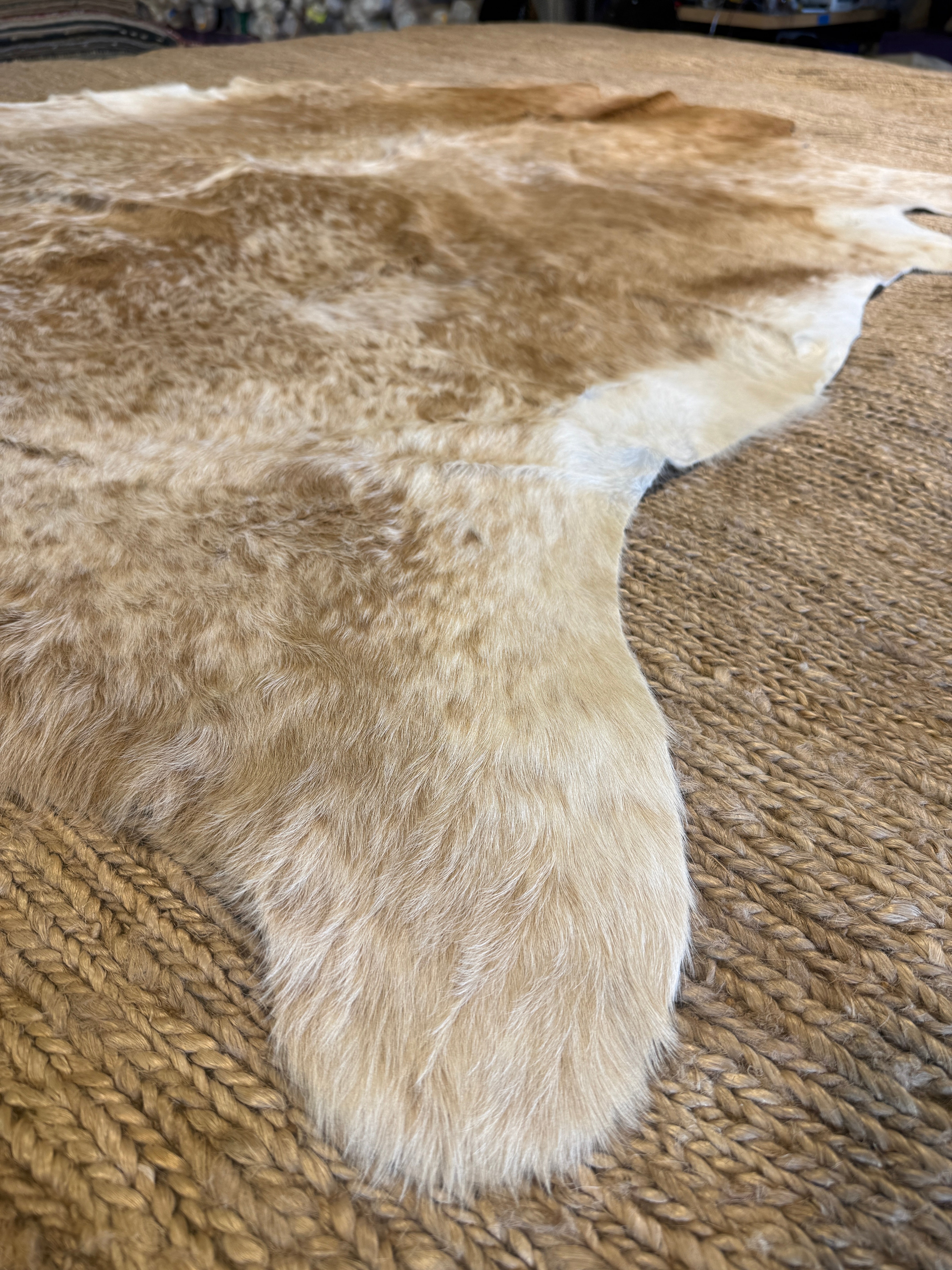 Exotic Medium Large 6x6.10 Cowhide Rug