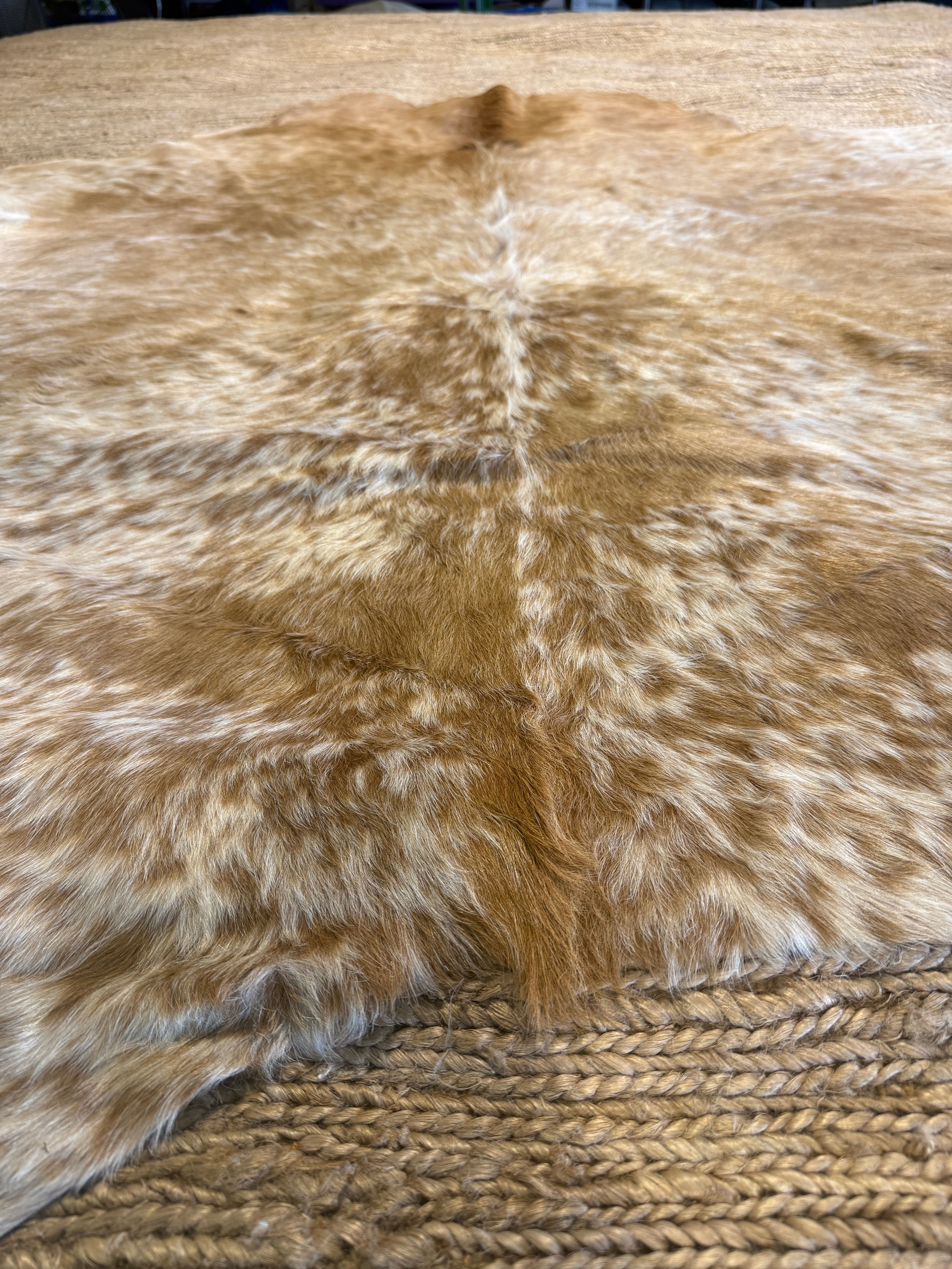 Exotic Medium Large 6x6.10 Cowhide Rug