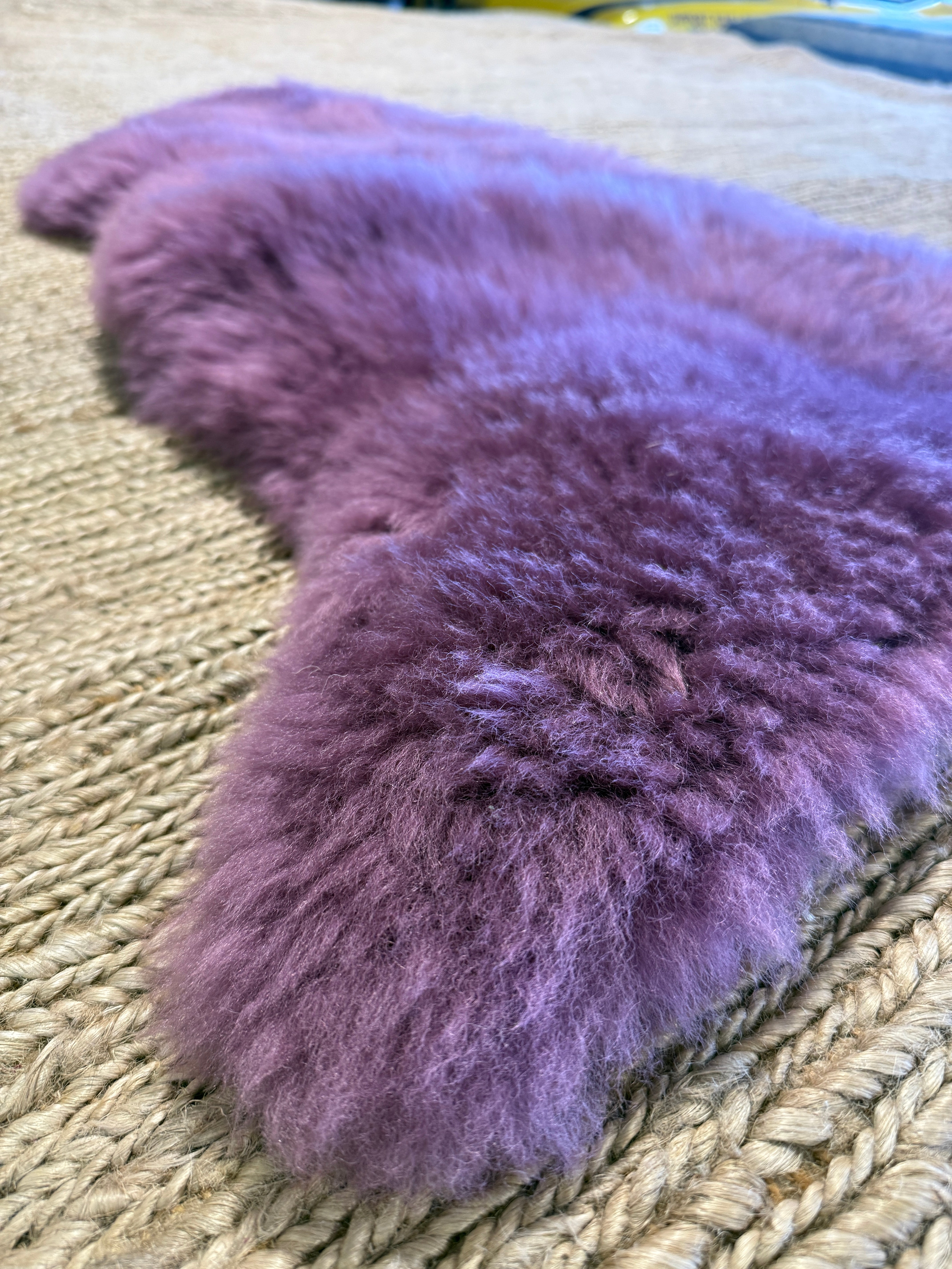 Single Pelt Lavender Sheepskin Rug