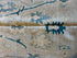 Emily Ferrier 5.4x7.6 Cream Blue Whitewashed Afghani Oushak Rug