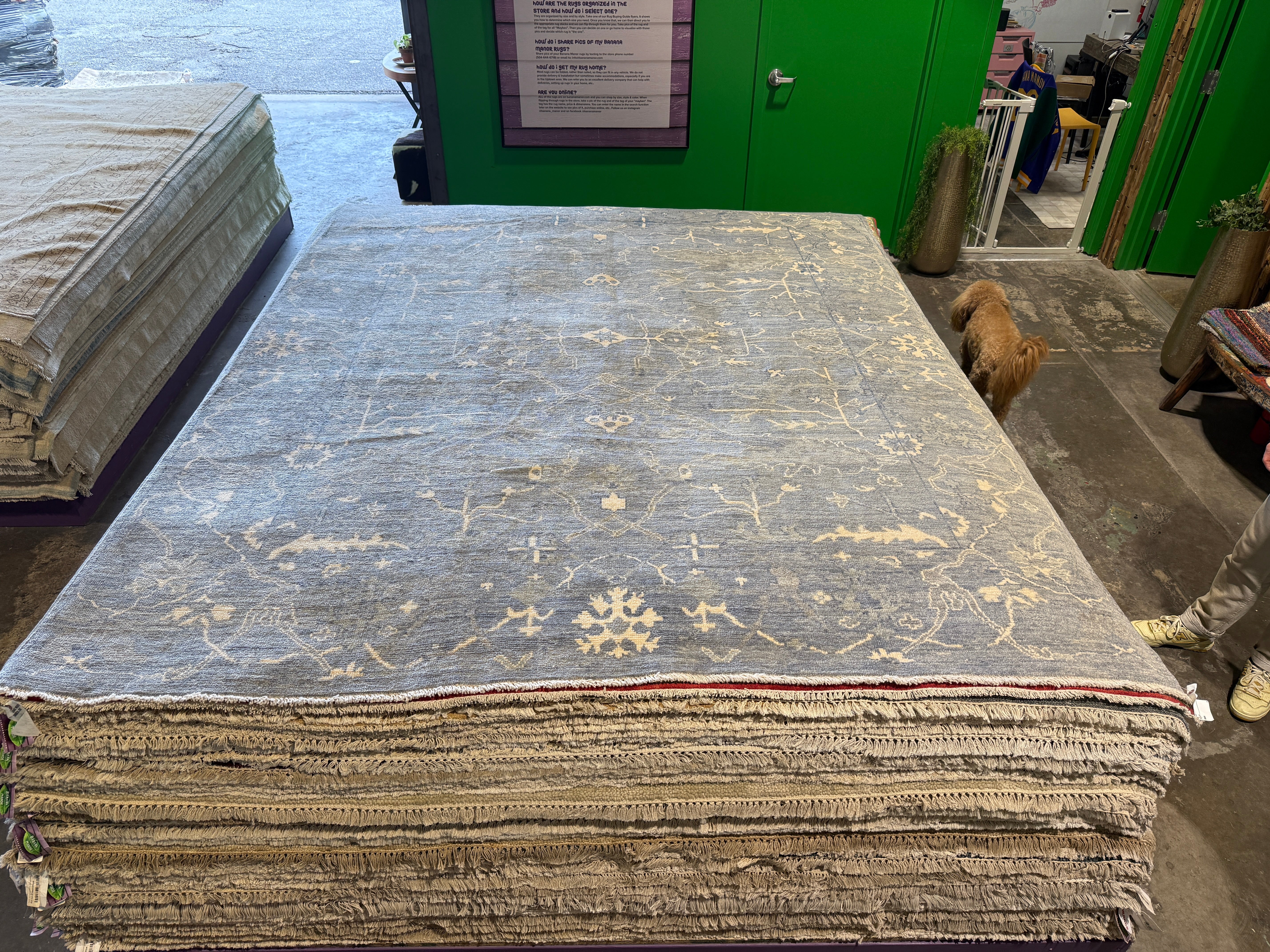 Shannon Purser 8x9.9 Afghani Ston wash Blue Rug