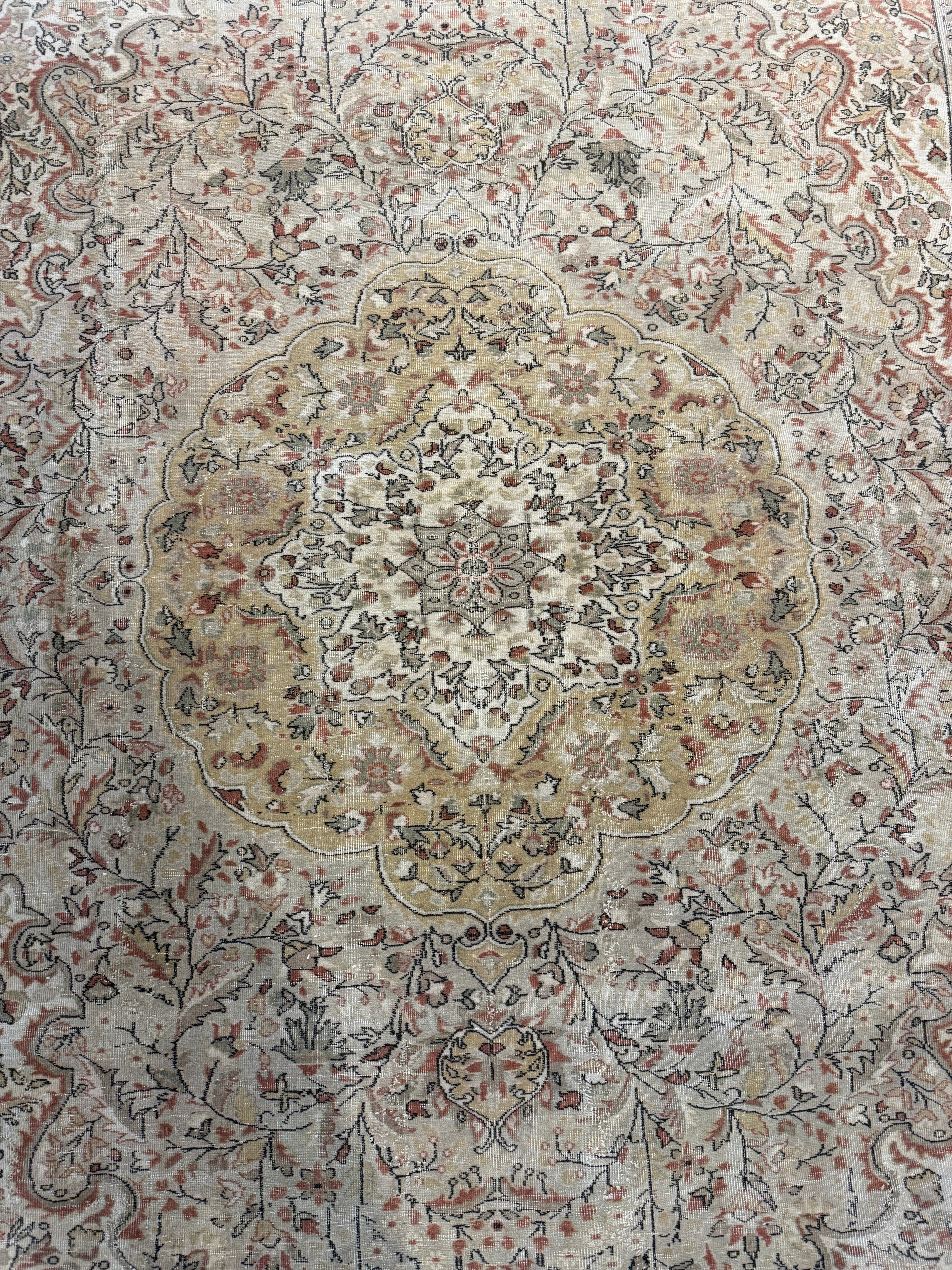 Barbara 6.10x9.4 Antique Qaisar Cream Rug