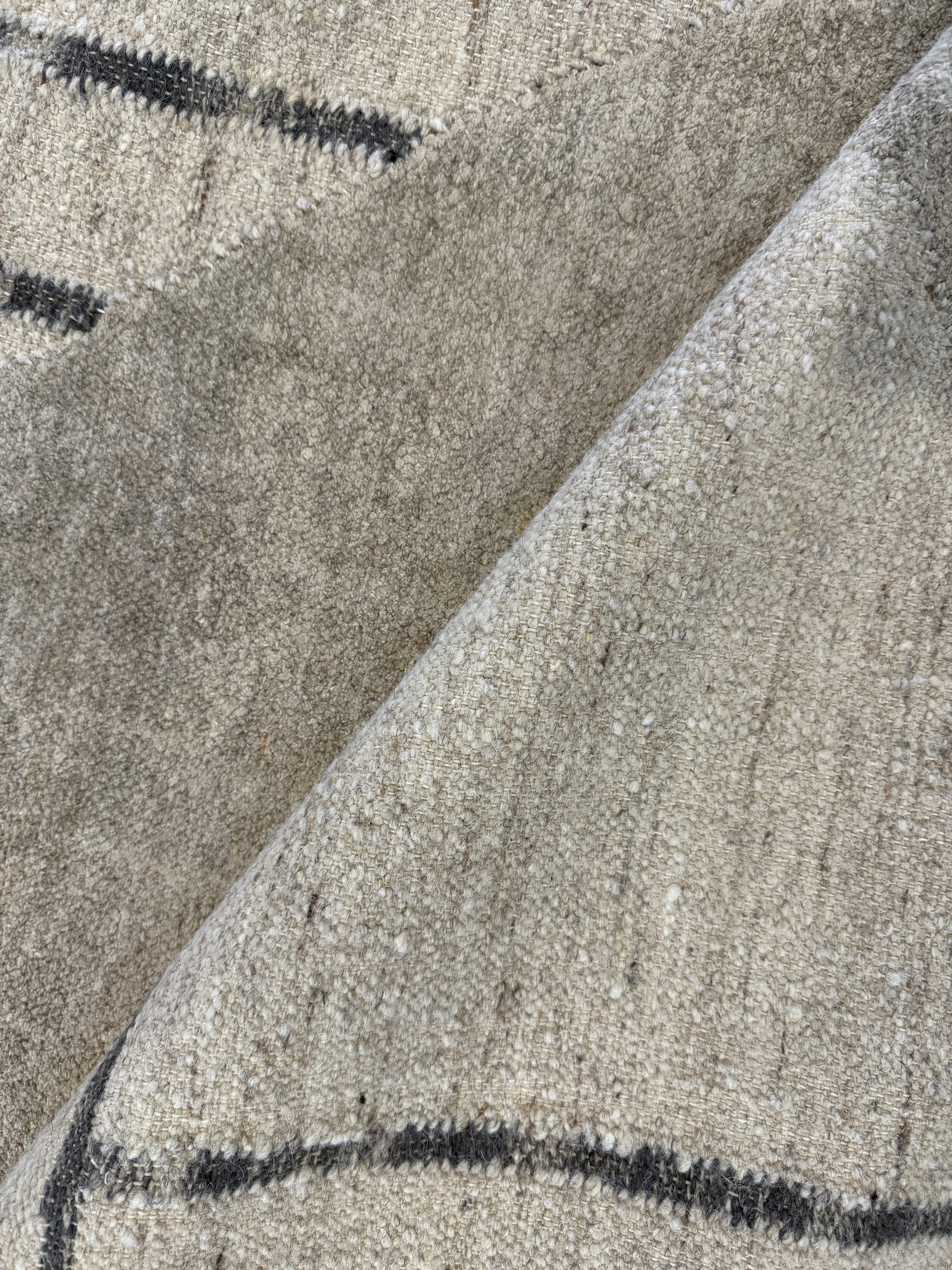 Logan Palmer 9.3x11.3 Tan Handwoven Modern Rug