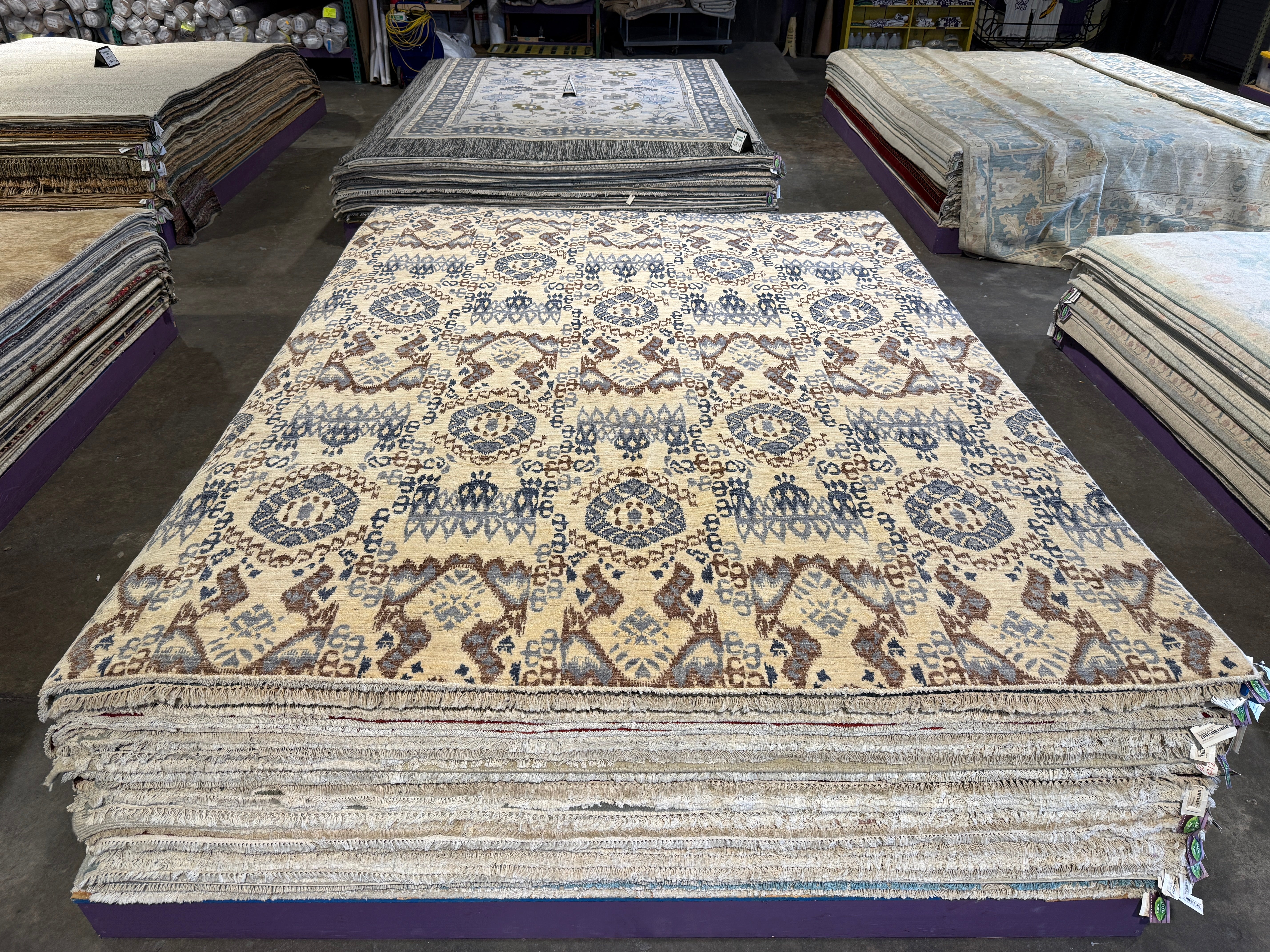 Vickie 9x12.1 Ikat Blue Rug