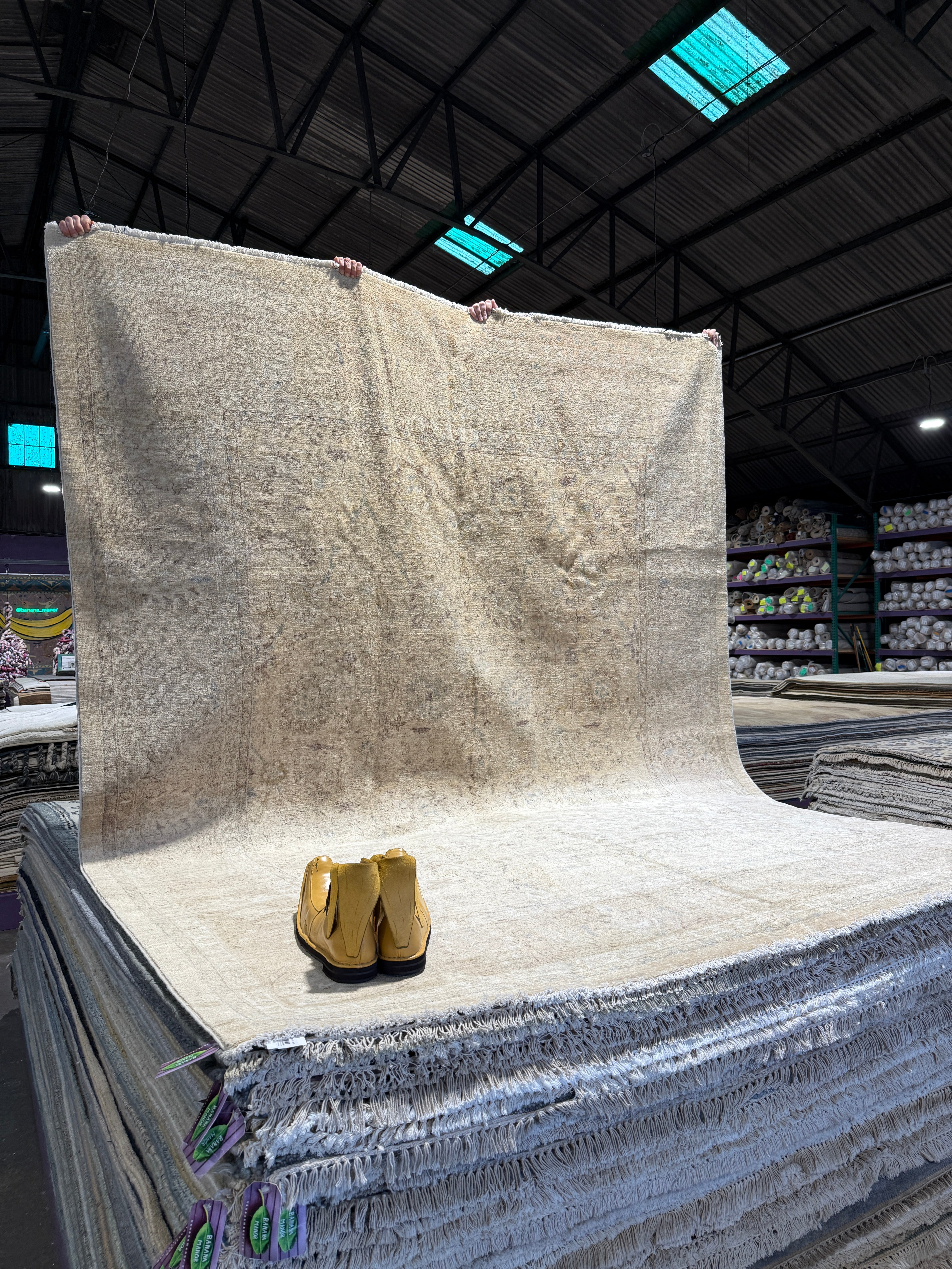 Gabriella Pizzolo 9x10 Turkish Oushak Cream Rug