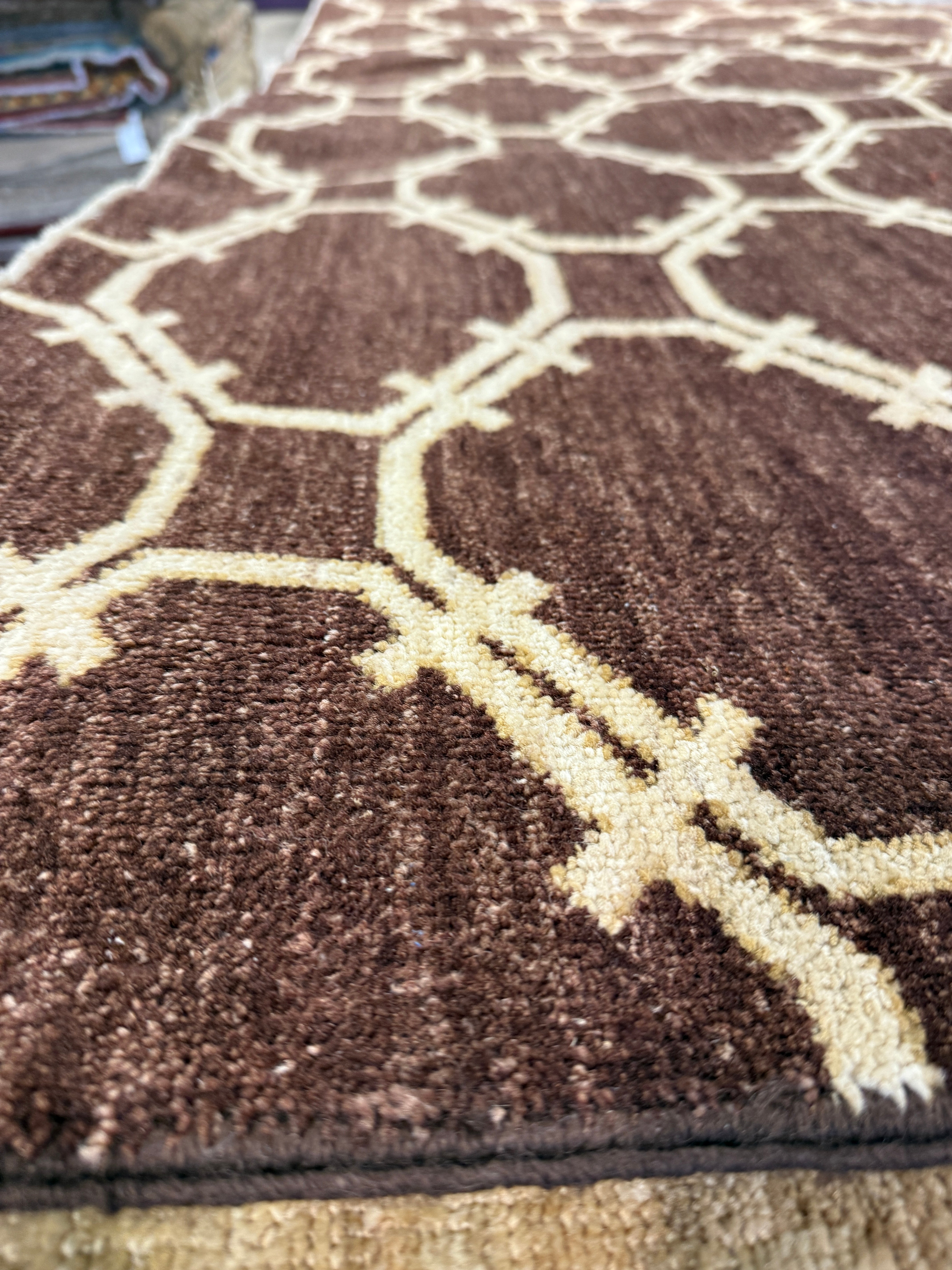 Amybeth McNulty 9x12 Afghani Aryana Brown Rug