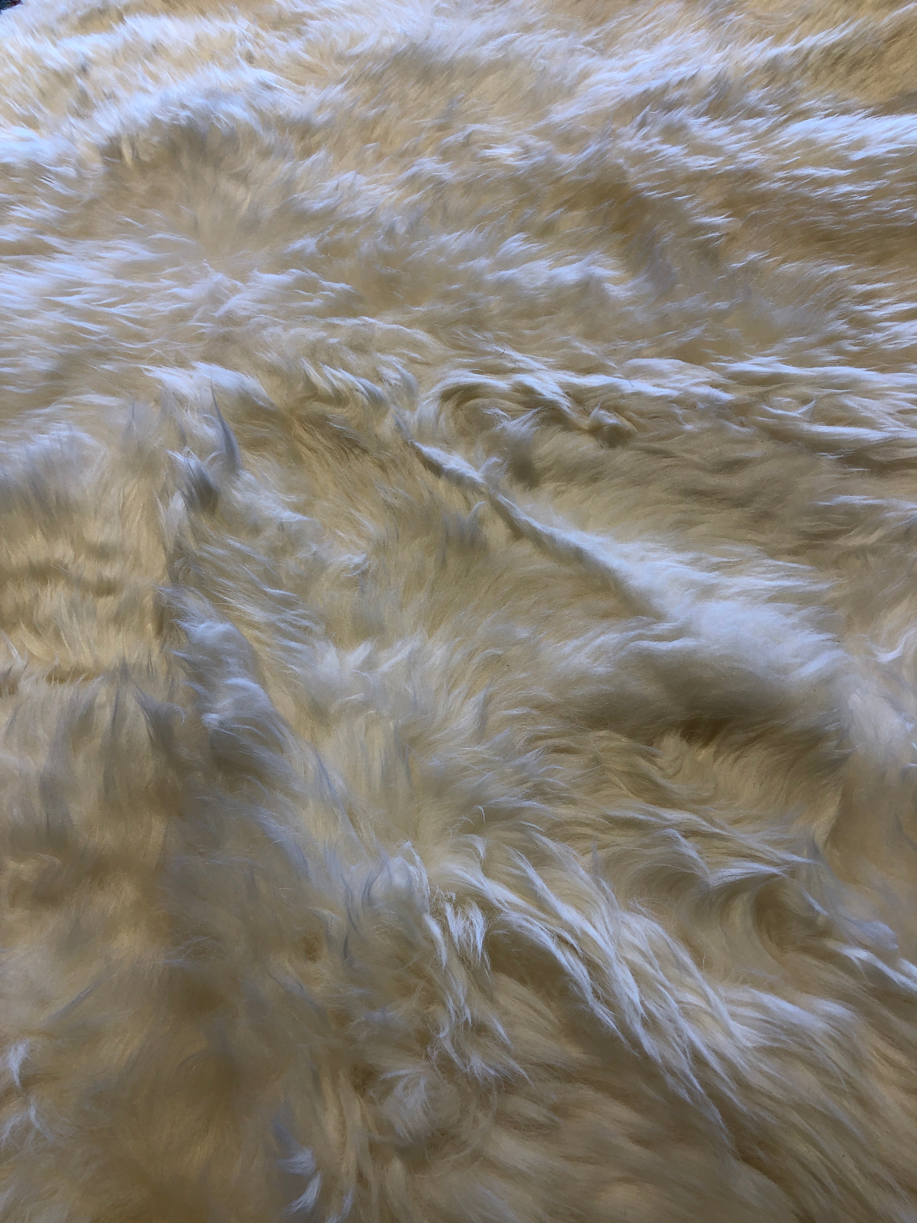 Round 4' White Sheepskin Rug