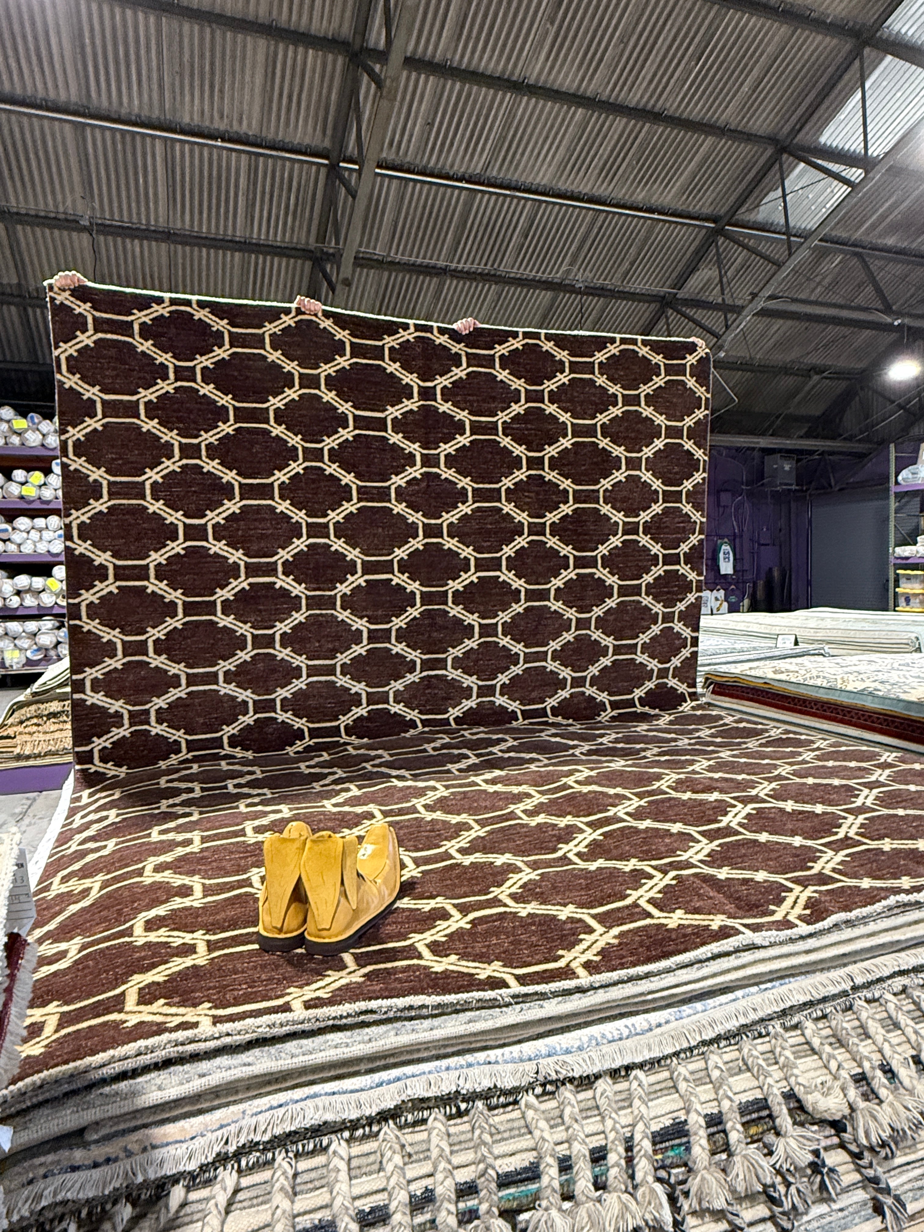 Amybeth McNulty 9x12 Afghani Aryana Brown Rug