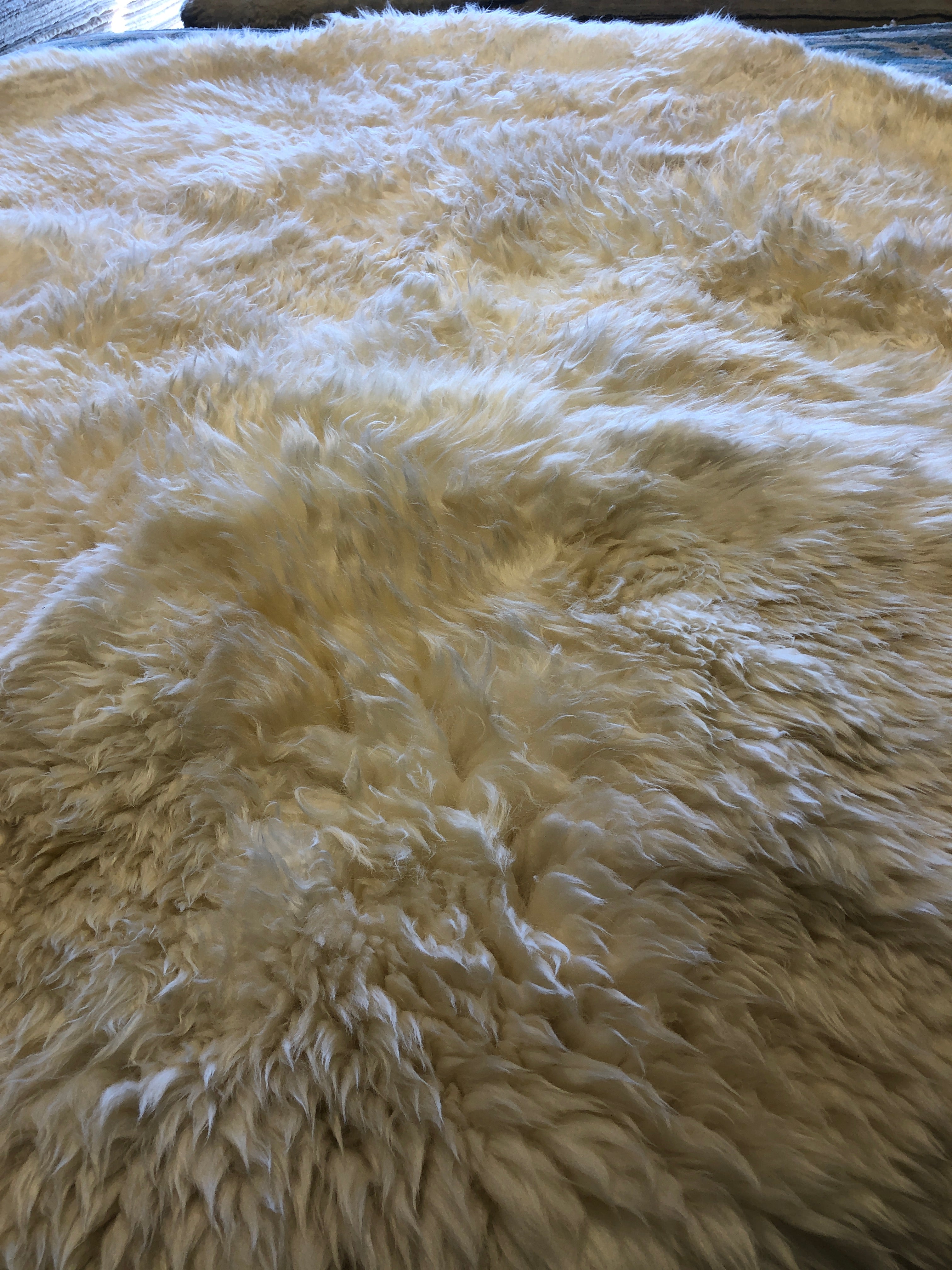 Round 6' White Sheepskin Rug