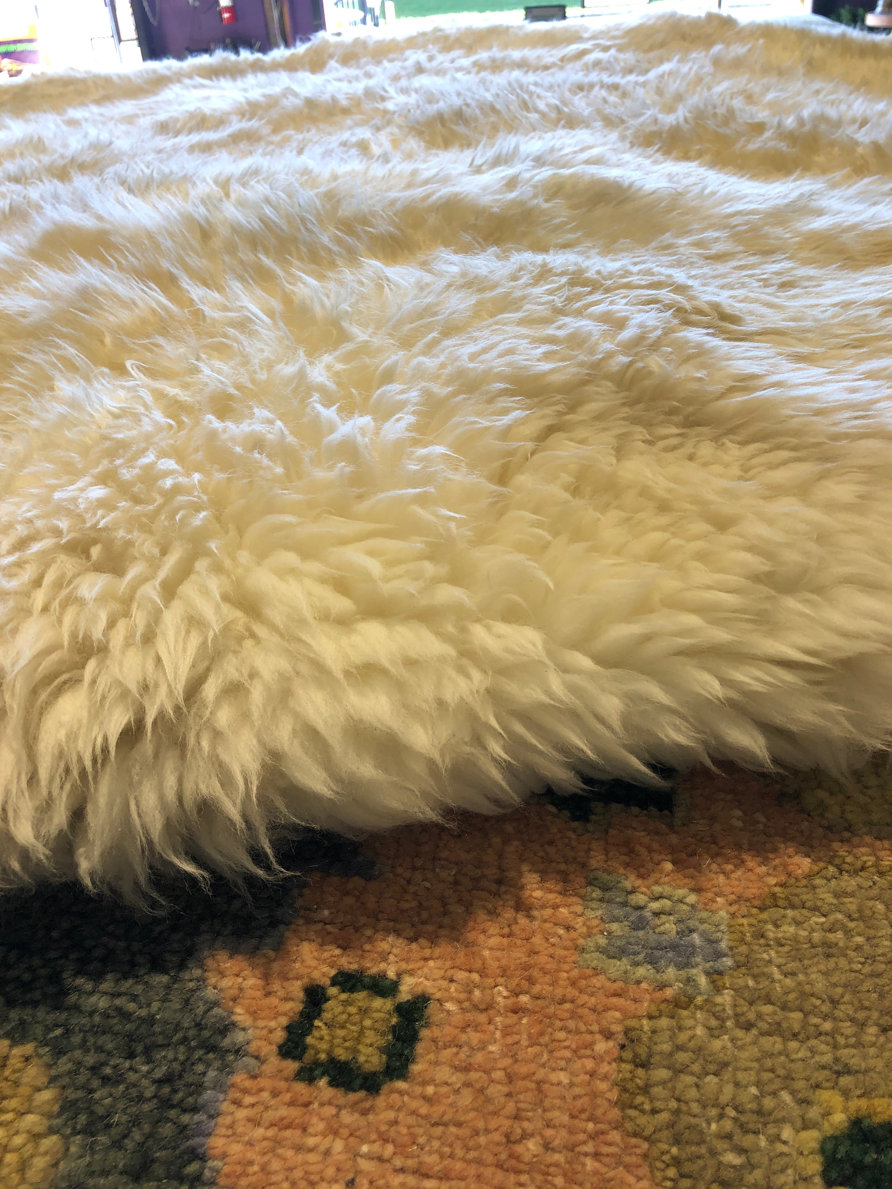 Round 6' White Sheepskin Rug