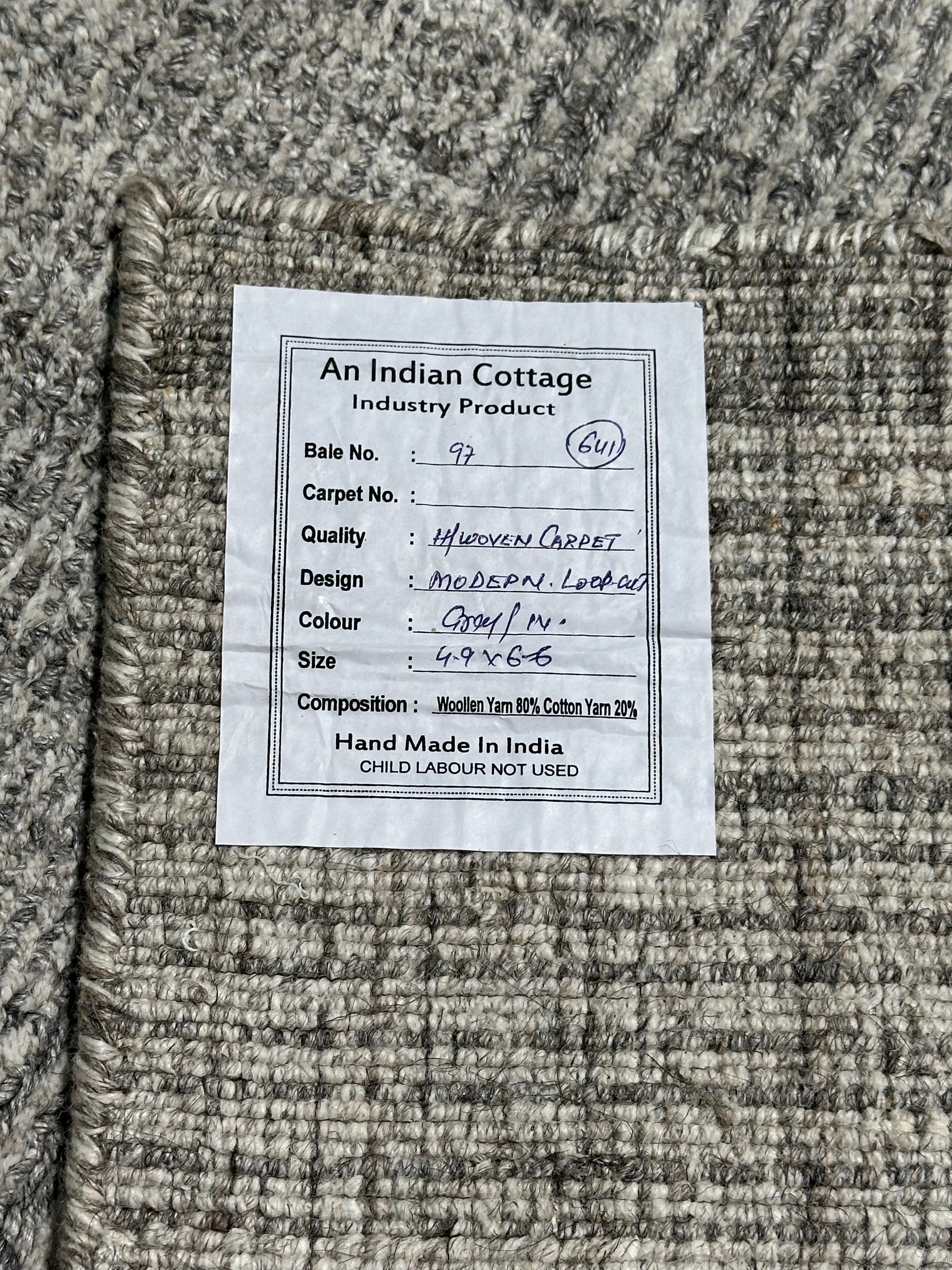Roberto 4.9x6.6 Hand-Knotted Grey Modern