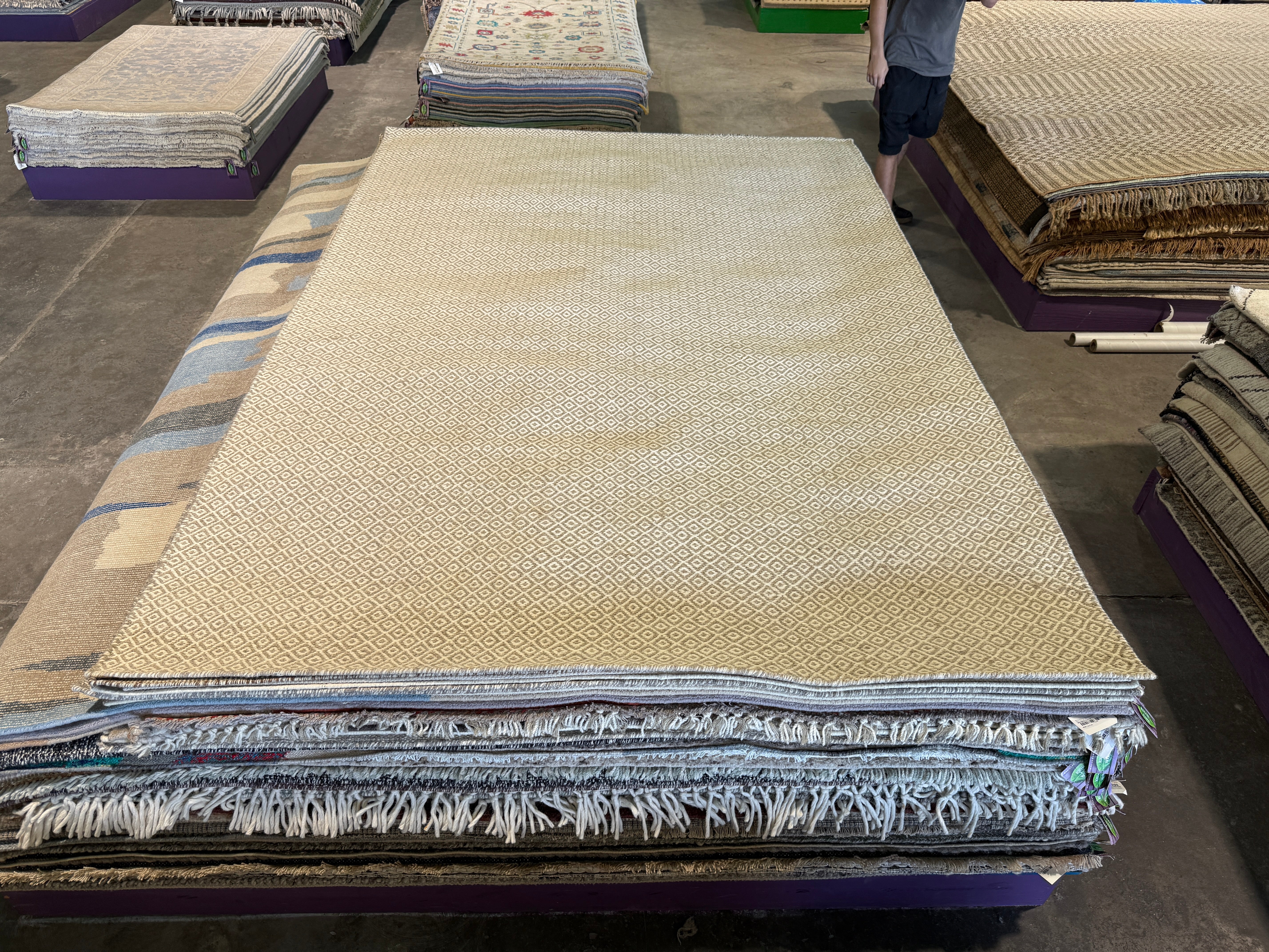Chris Austin 6.9x9.6 Light Grey Handwoven Modern Rug