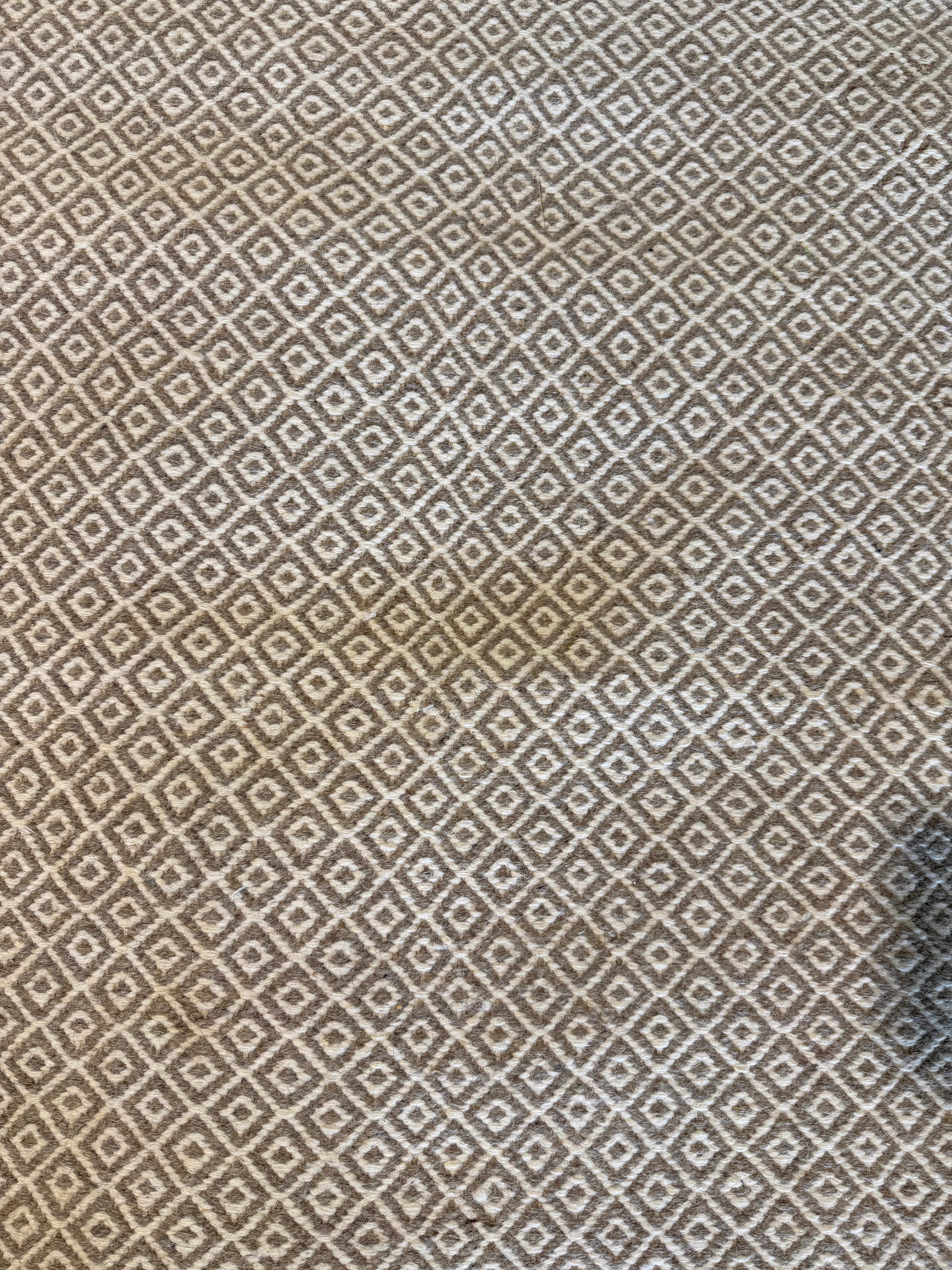Chris Austin 6.9x9.6 Light Grey Handwoven Modern Rug