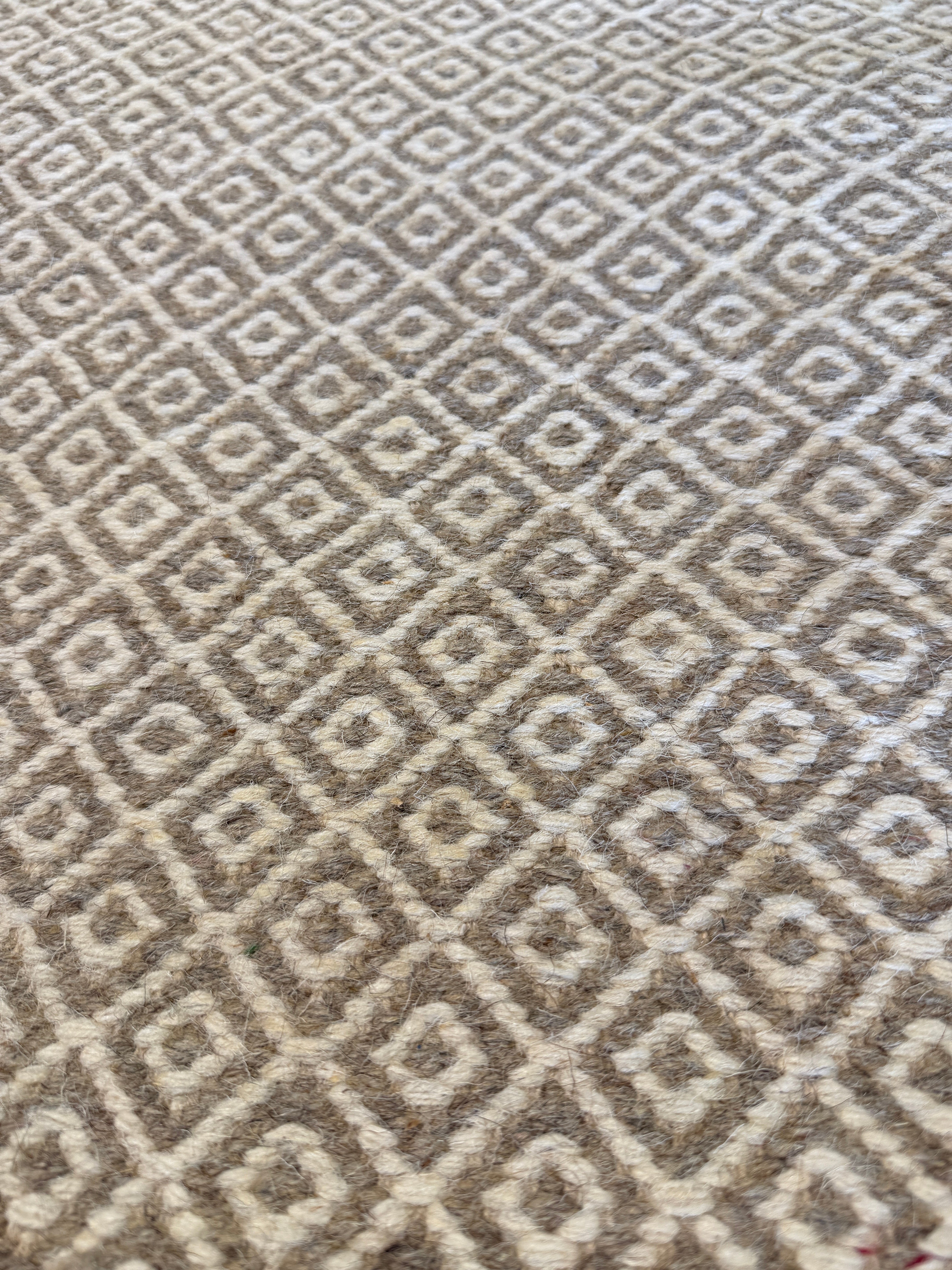 Chris Austin 6.9x9.6 Light Grey Handwoven Modern Rug