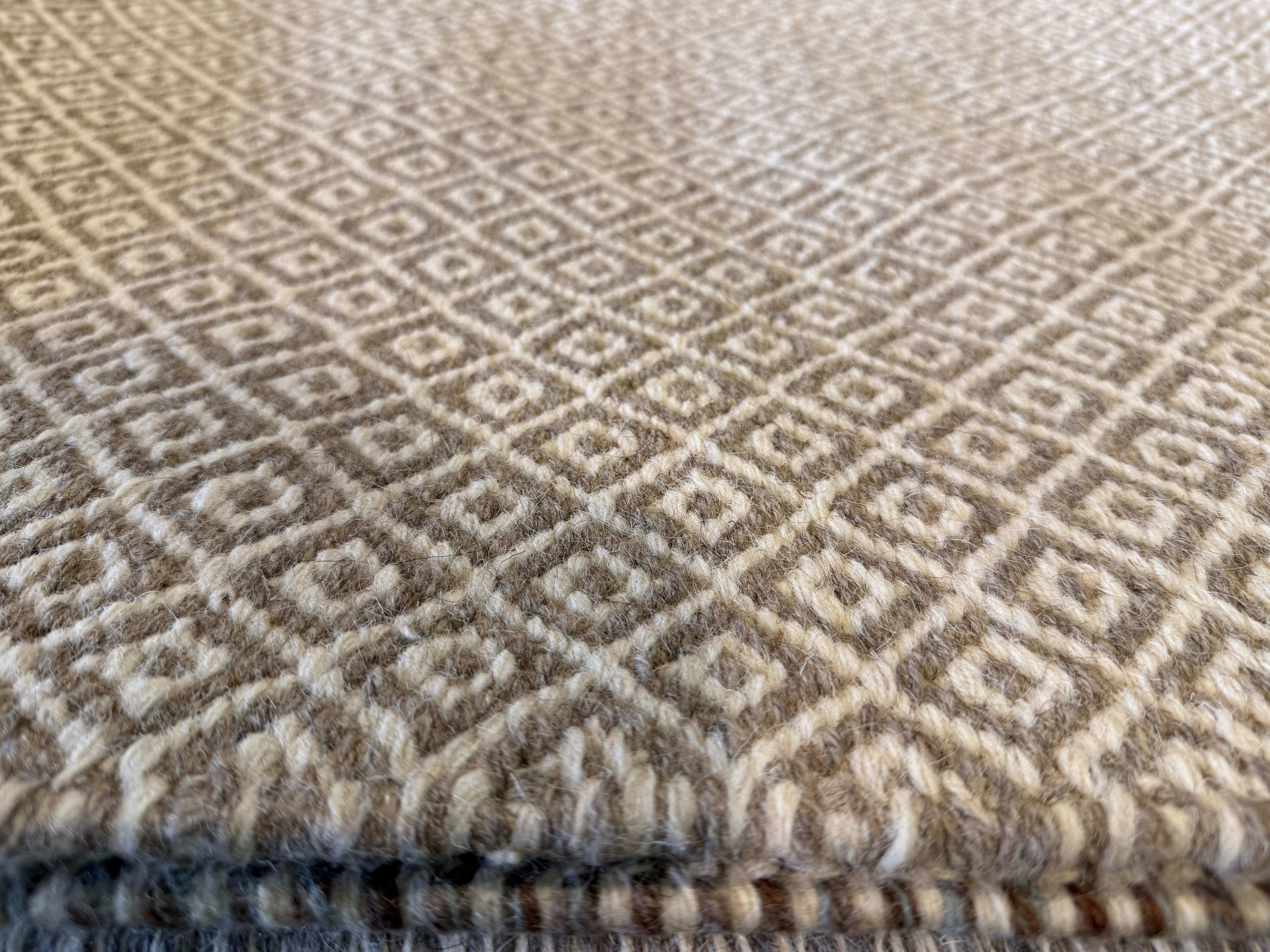 Chris Austin 6.9x9.6 Light Grey Handwoven Modern Rug
