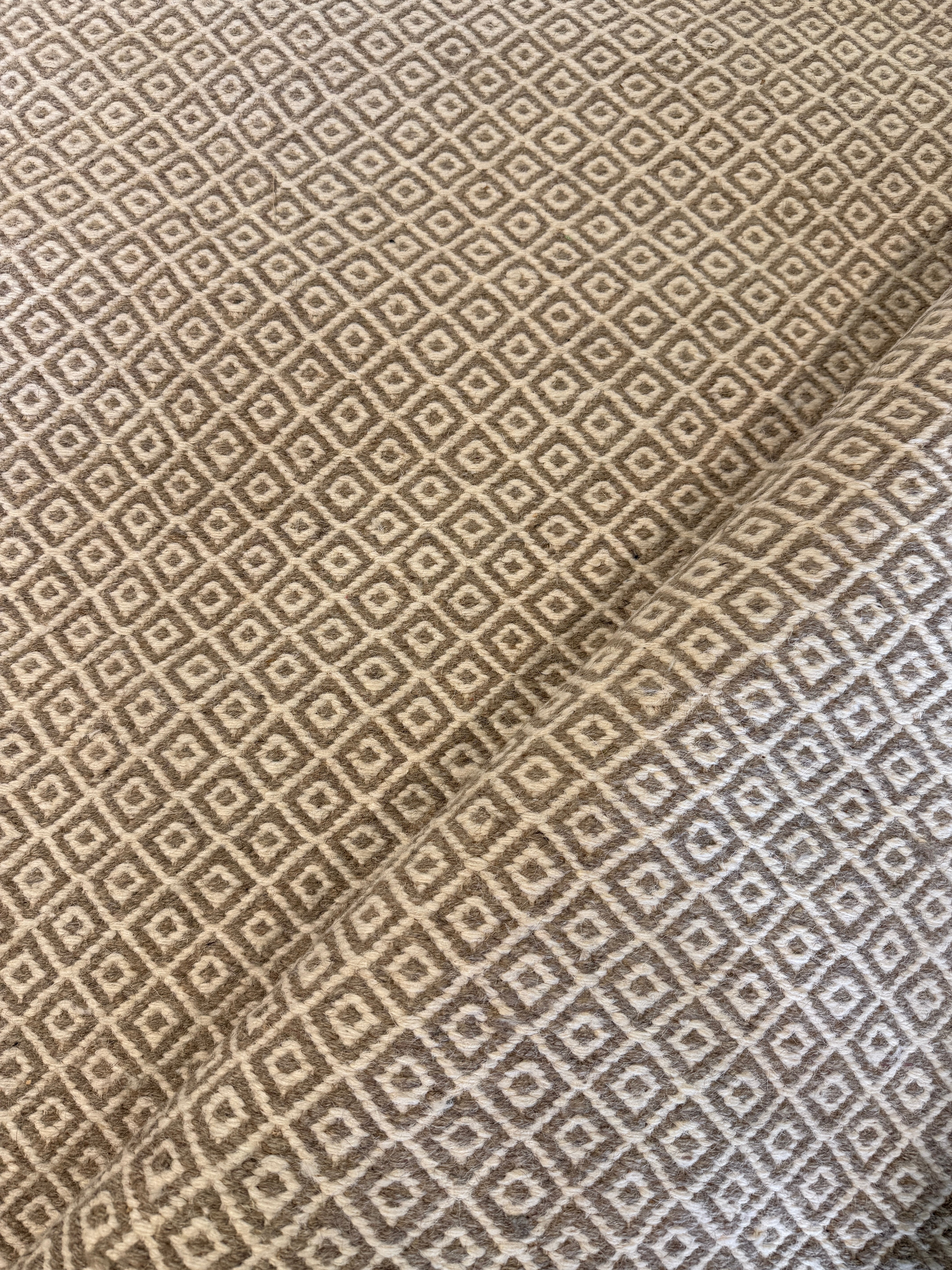 Chris Austin 6.9x9.6 Light Grey Handwoven Modern Rug