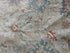 Katya Collazo 5.1x7.9 Cream Afghani Whitewashed Oushak