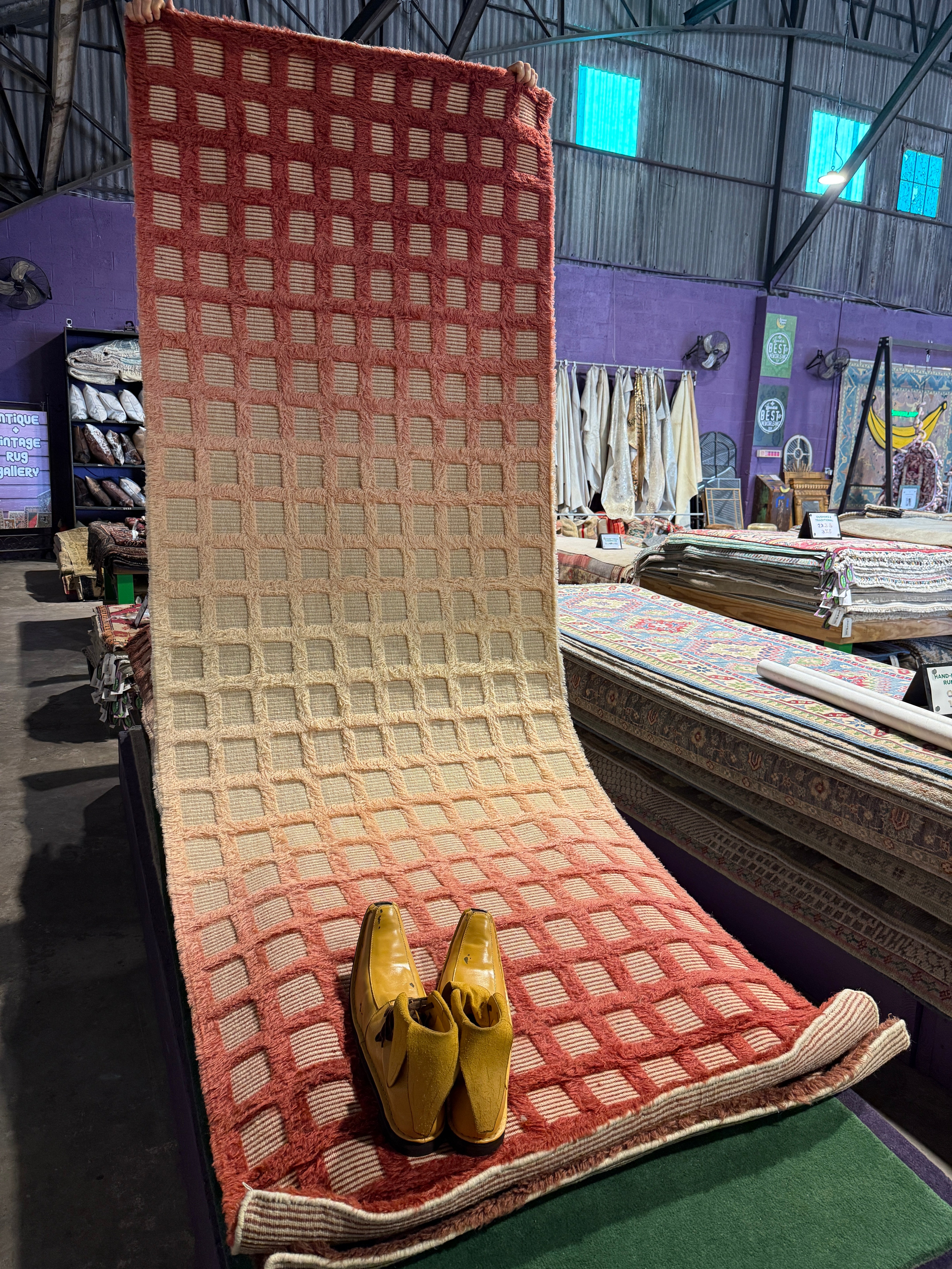 Pawlie 3.6x9.6 Red Handwoven Modern Runner