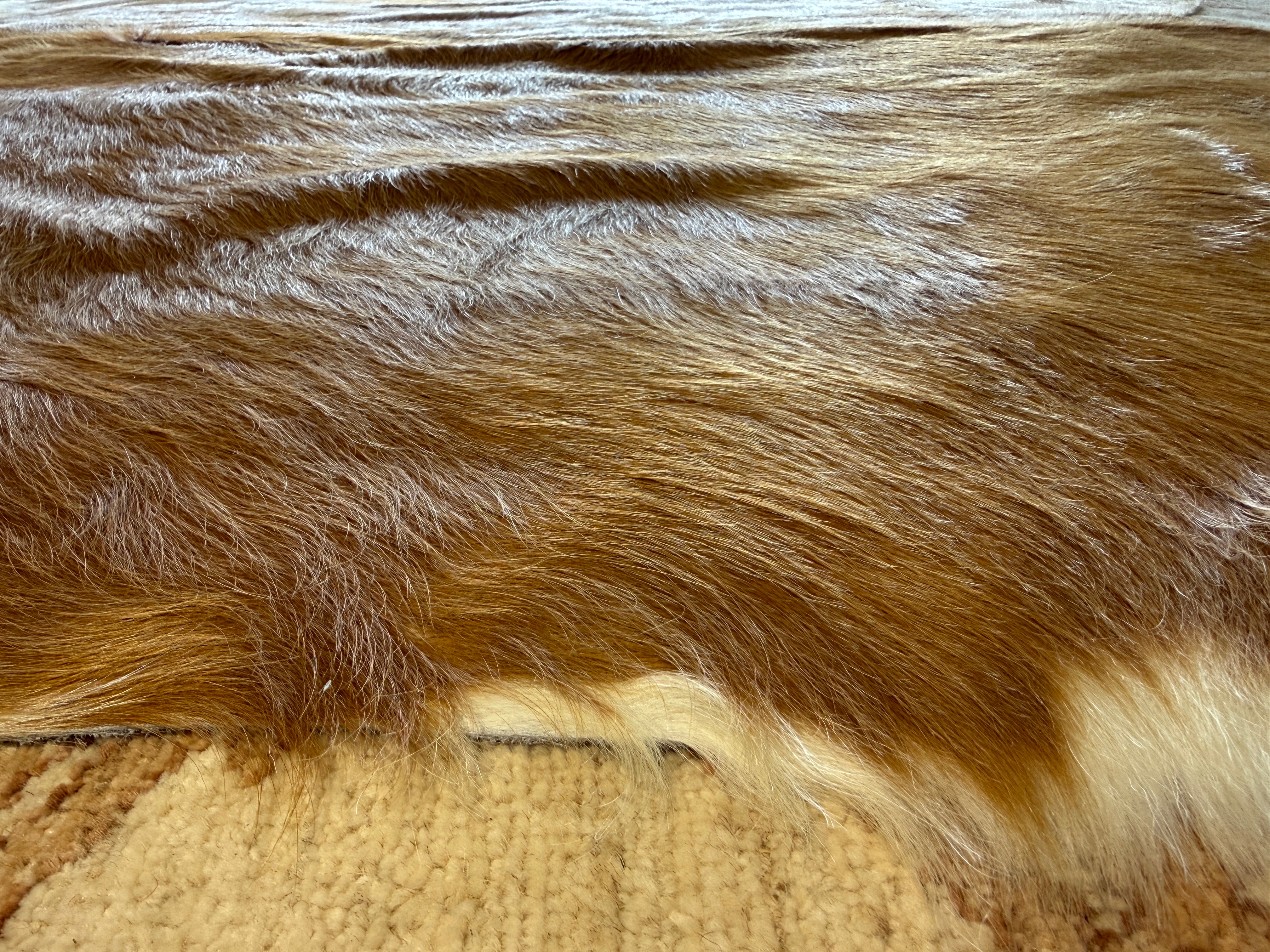 Long Hair Brown and White 6.3x7.2 Large Cowhide Rug