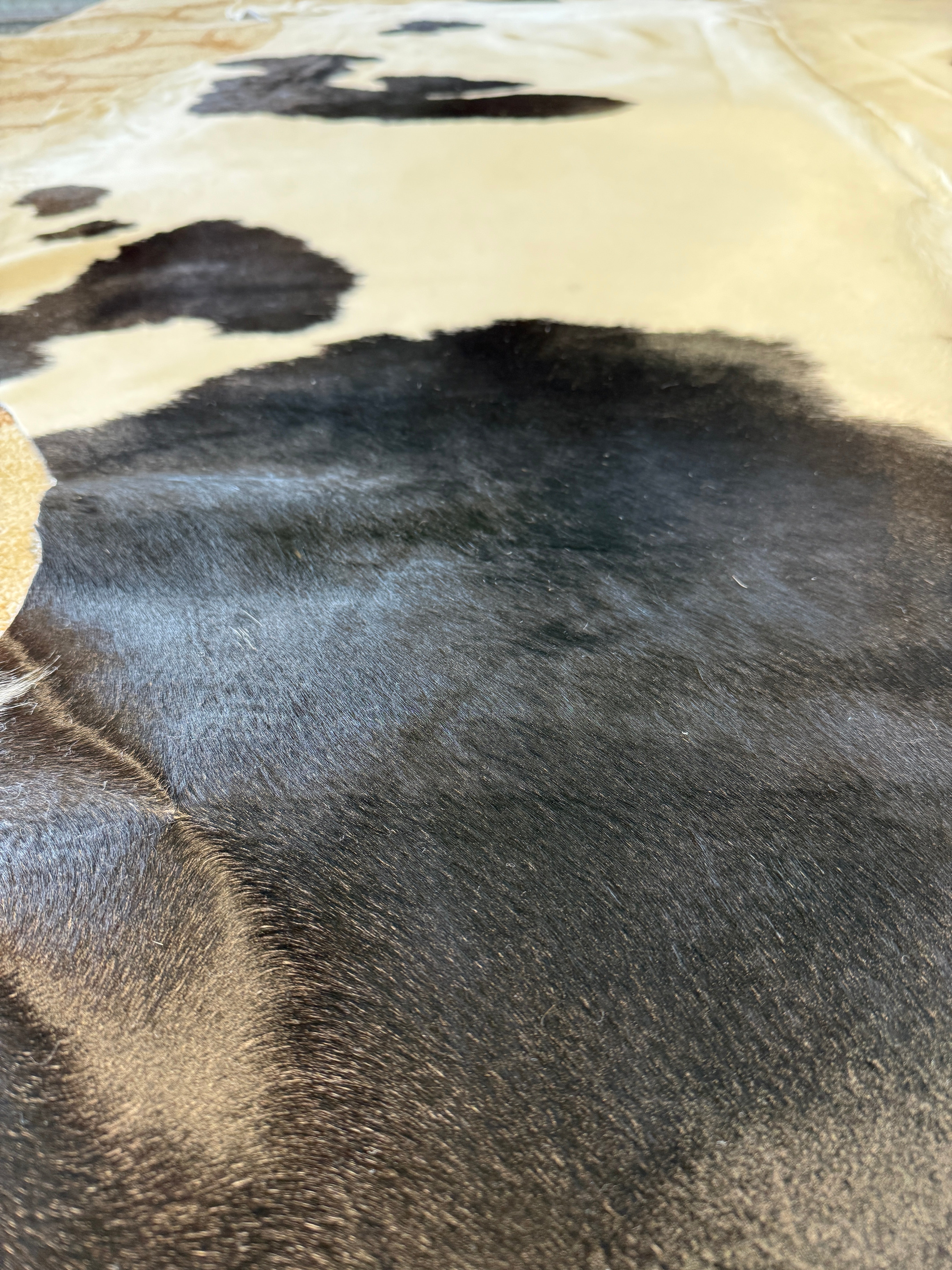 Black and White 6.6x8.9 Medium Cowhide Rug