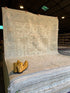 Marge Truman 8.2x10 Cream Afghani Whitewashed Oushak