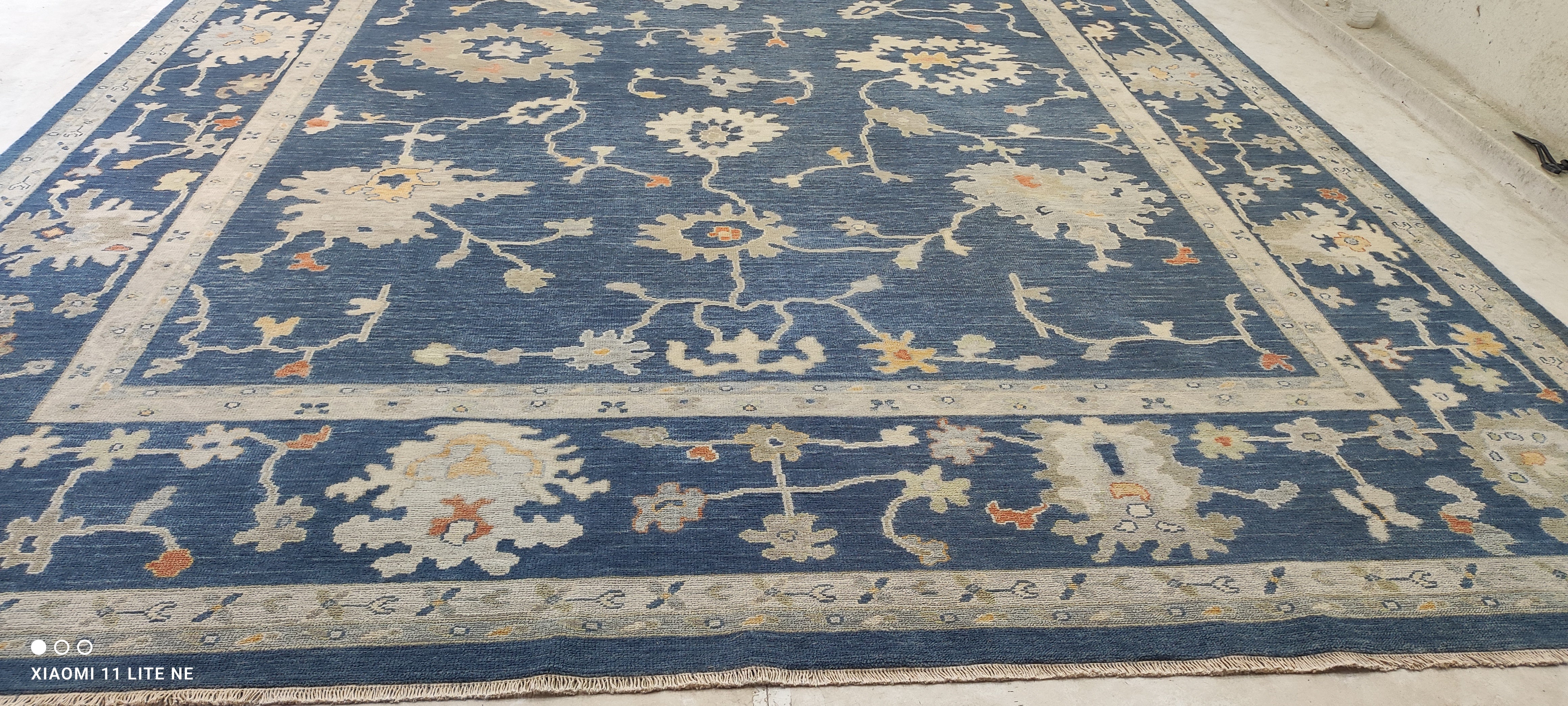 Wayona Lamb 10.3x14 Blue Hand-Knotted Rug