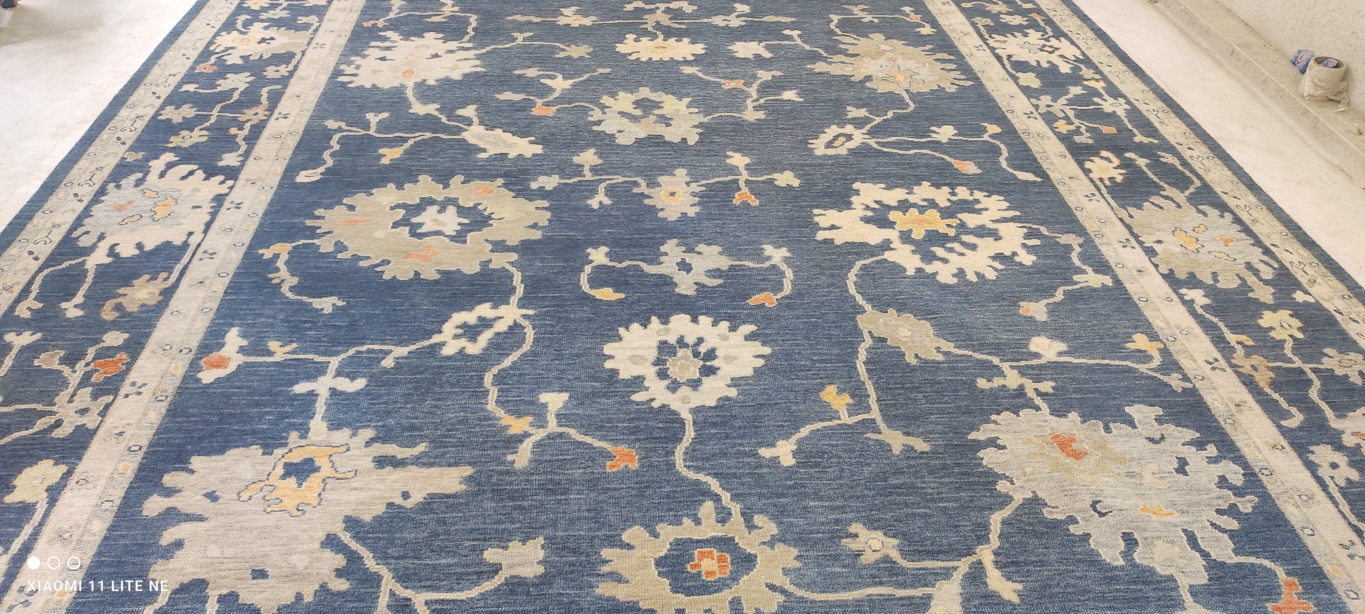 Wayona Lamb 10.3x14 Blue Hand-Knotted Rug