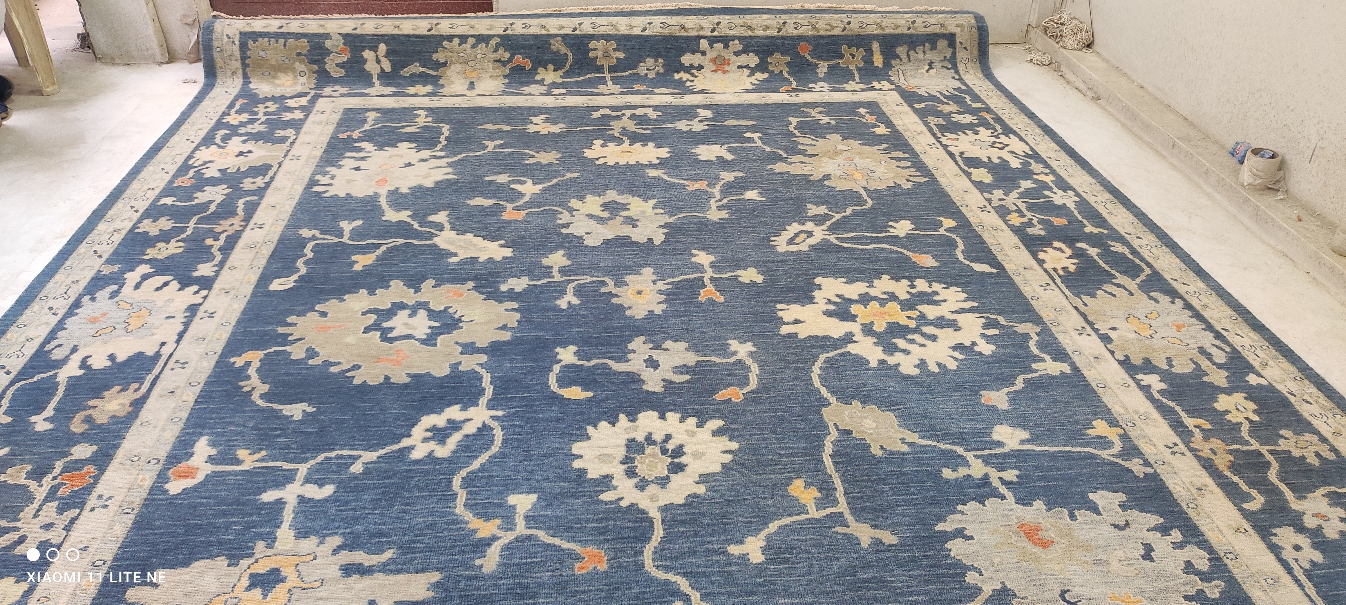 Wayona Lamb 10.3x14 Blue Hand-Knotted Rug