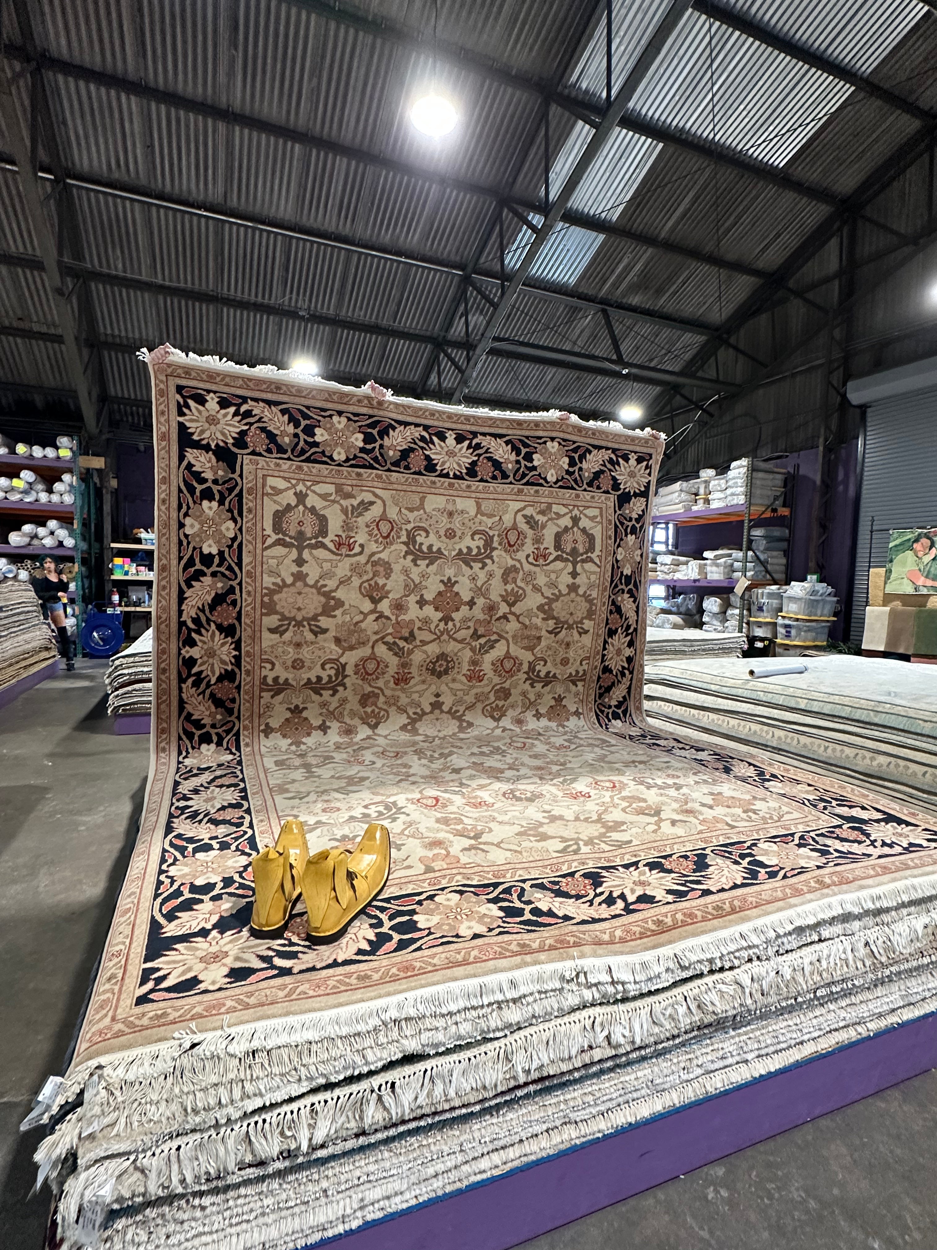 Corrine Hardy 9x12 Beige and Blue Zeigler Rug - CLEARANCE 30% off