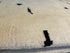 Vince Levins 8.10x11.11 Hand-Knotted Afghani Moroccan Style Rug