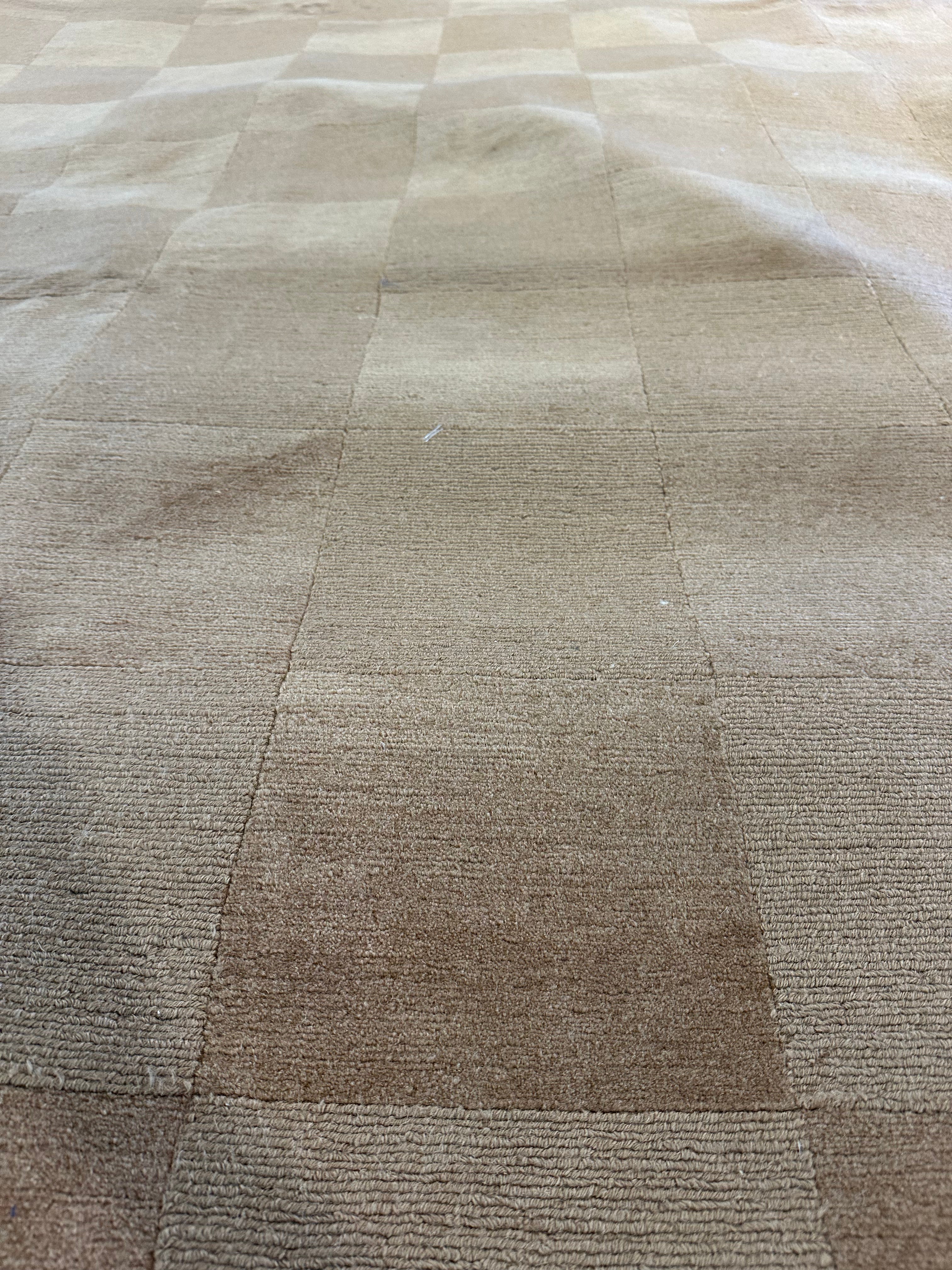 Chad Menard 8.9x11.7 Orange and Tan Nepalese Rug - CLEARANCE 30% off