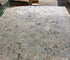 Gwili Andre 8x11 Grey and Dark Grey Hand-Tufted Rug