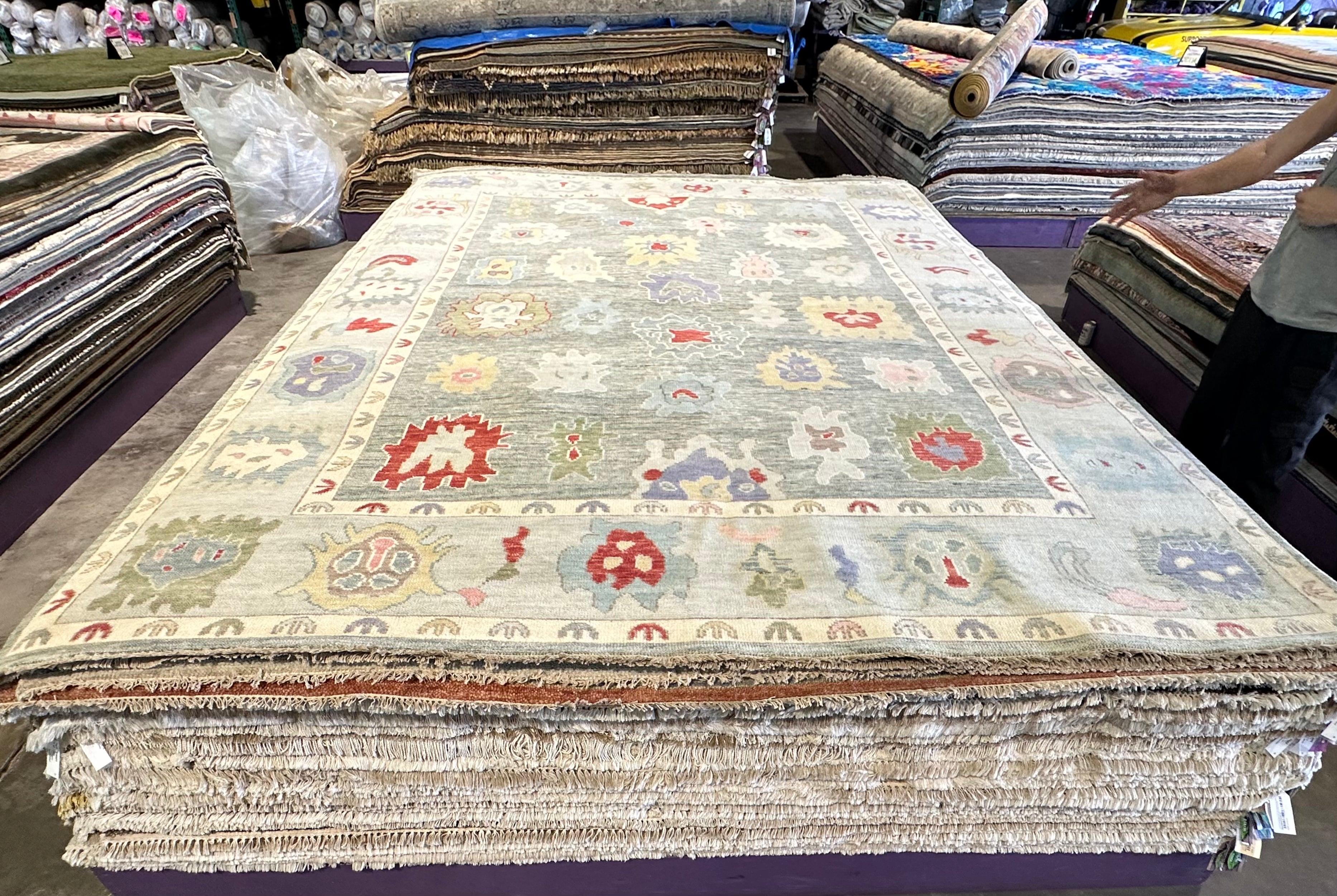 Sarah Victoria Mathieu 9x12 Multi Color Hand-Knotted Oushak Rug