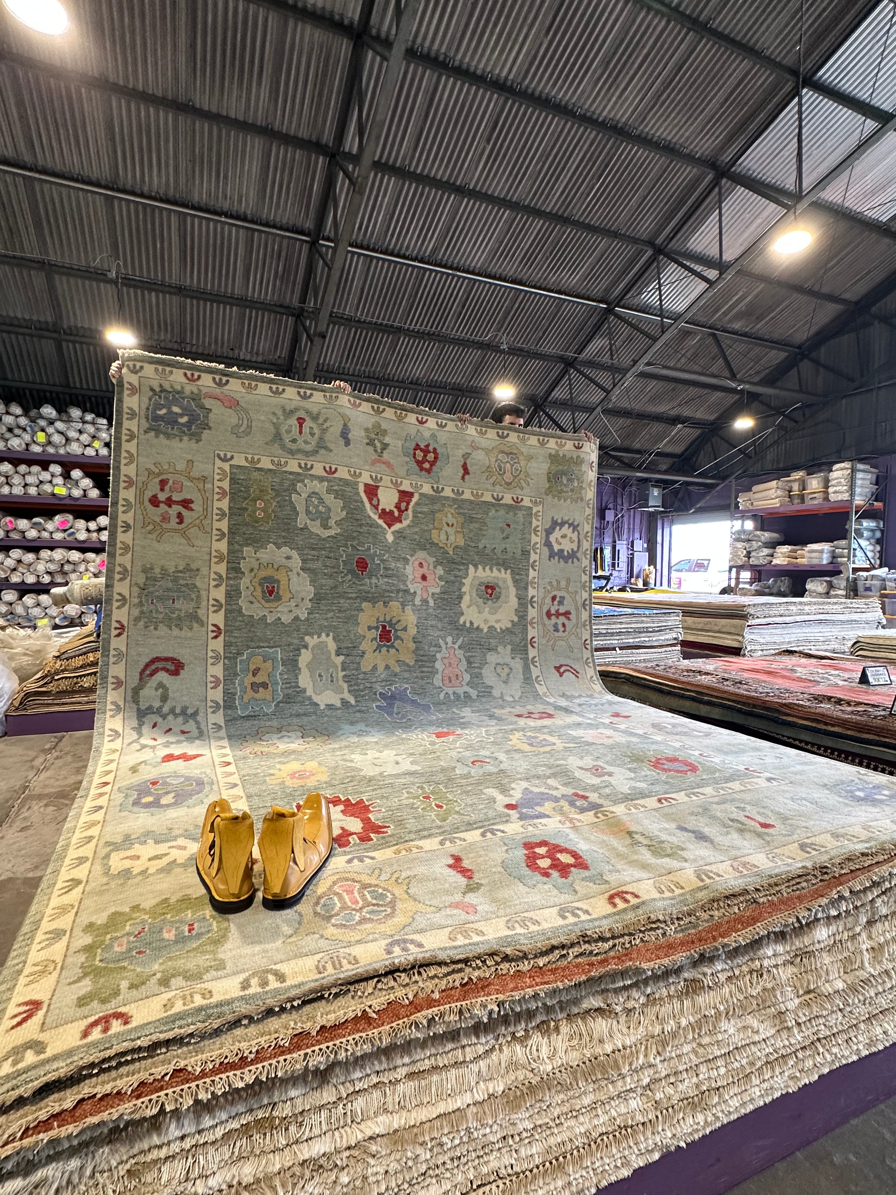 Sarah Victoria Mathieu 9x12 Multi Color Hand-Knotted Oushak Rug
