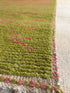 Paige DeSorbo 6.5x10.2 Pink and Green Hand-Knotted Afghani Moroccan Style Rug