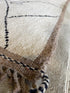 Gabby Prescod 8.2x10 Cream Hand-Knotted Afghani Moroccan Style Rug