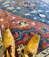Kitty 9x12  Rust, Blue, and Tan Hand-Knotted Indo Persian Rug