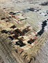 Aya 4.9x7.6 Beige & Tan Hand Knotted