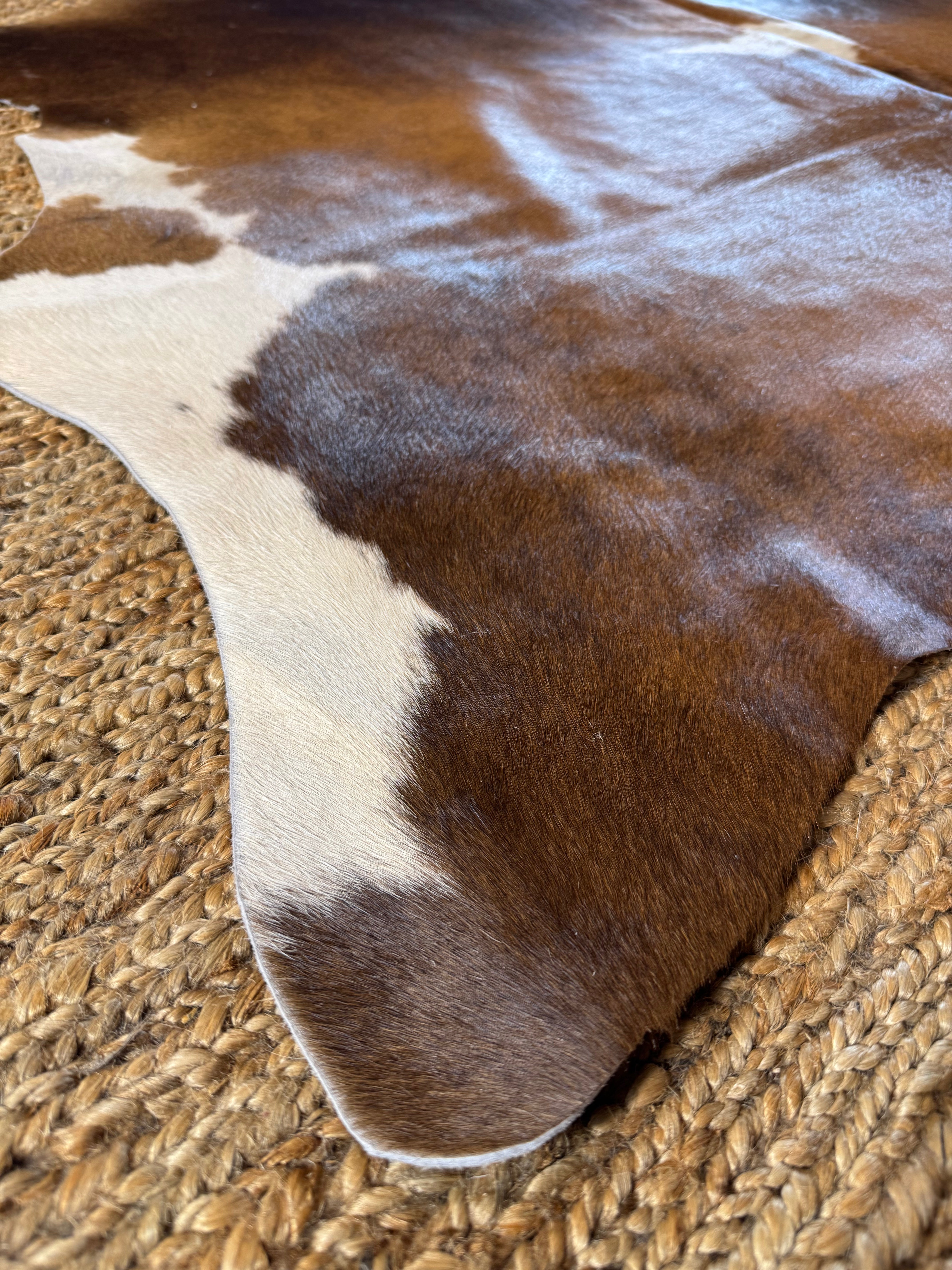 Tri Color 5.3x5.8 Small Cowhide Rug