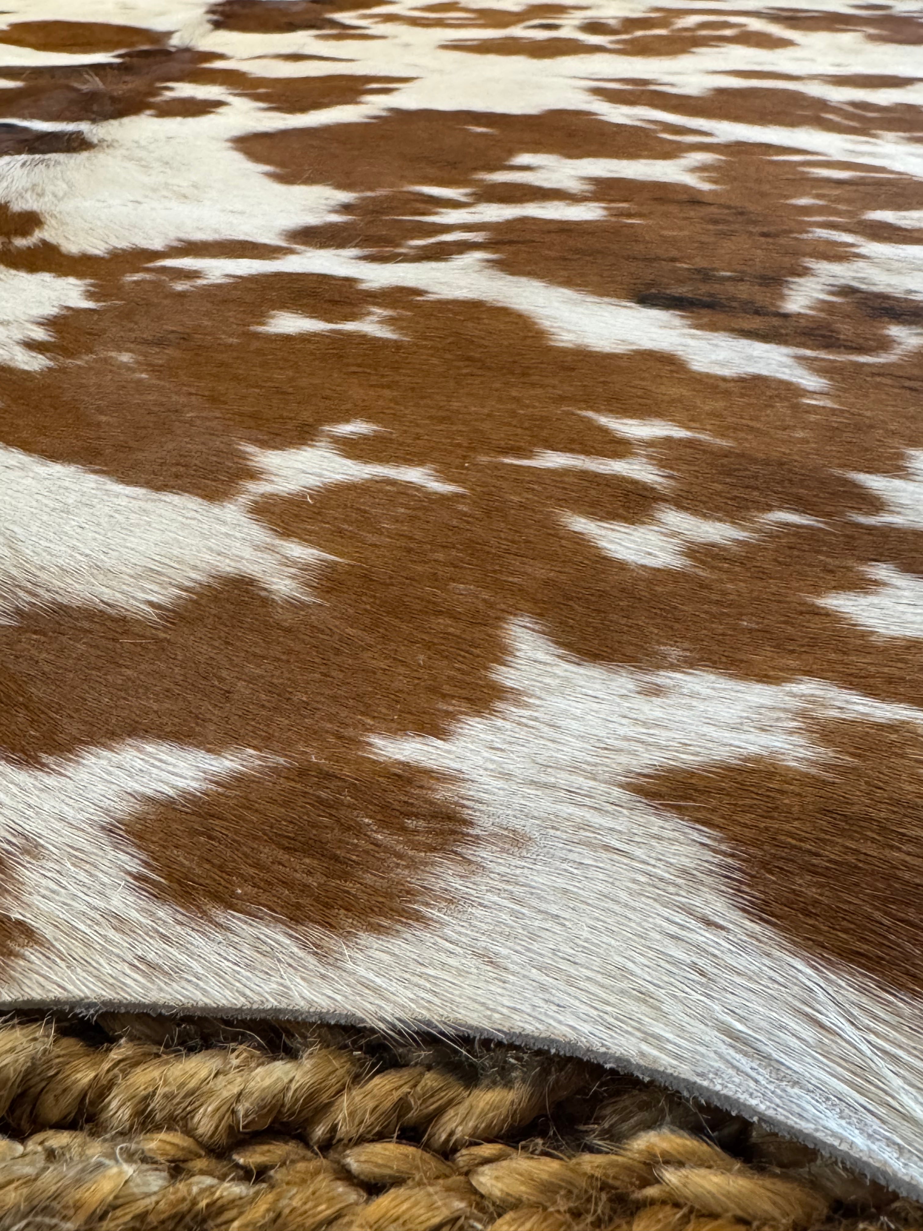 Tricolor Exotic 5.8x6.2 Small Cowhide Rug