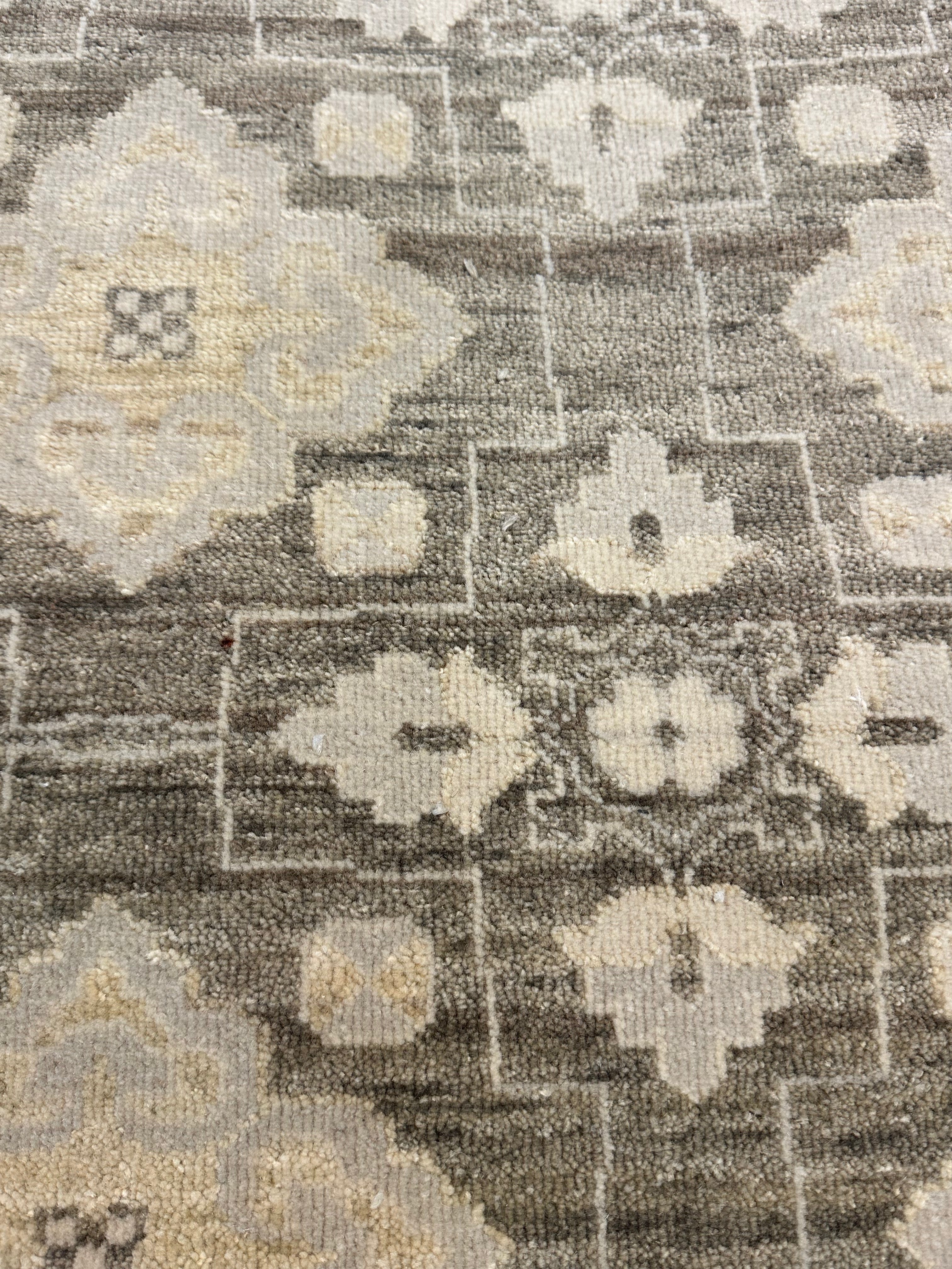 Jianna Platon 2x3 Hand-Knotted Oushak Rug
