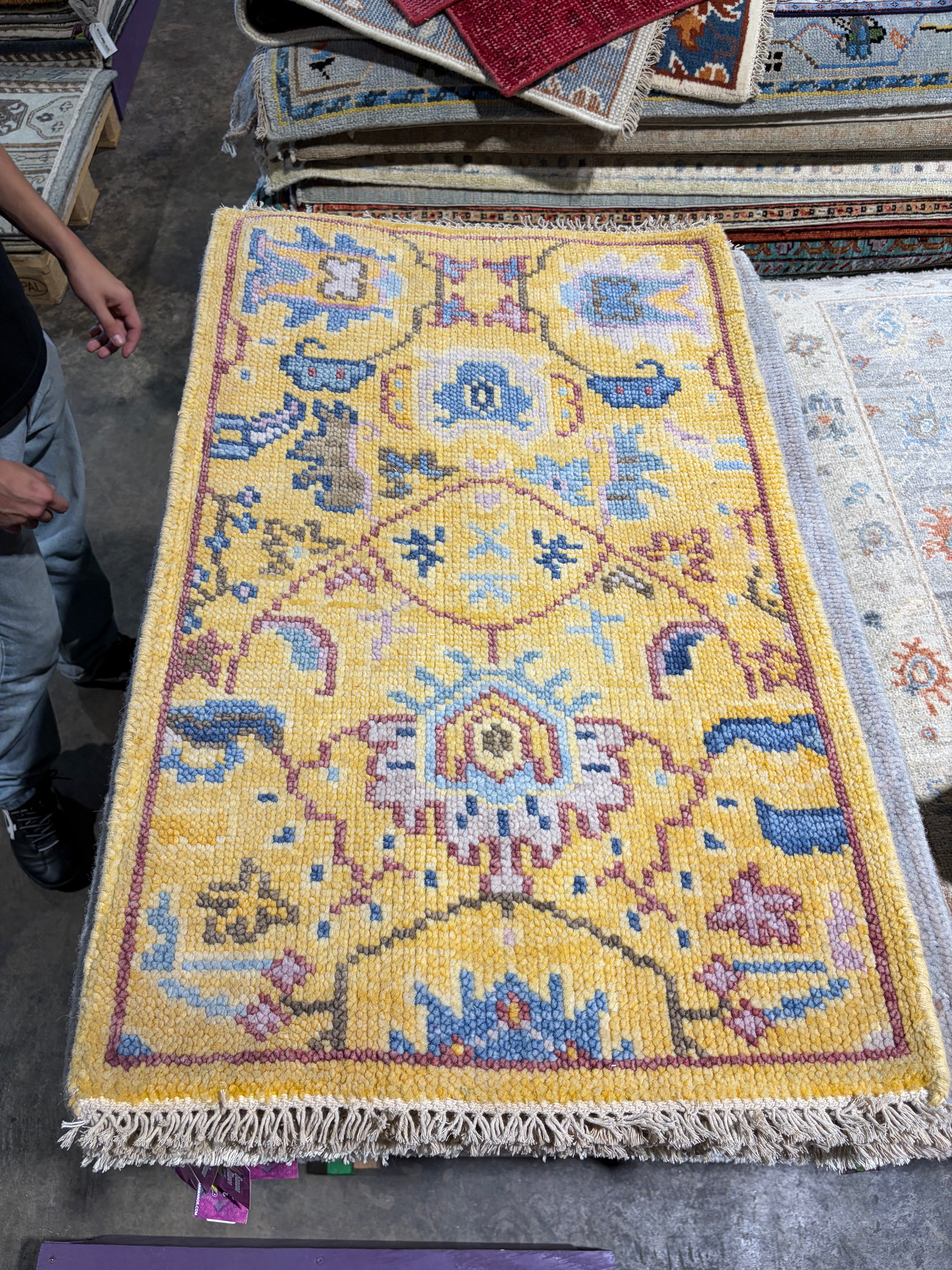 Martina Allen 2x3 Hand-Knotted Oushak Rug
