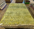 Trey Matthews 6.1x9.6 Green Hand-Knotted Afghani Moroccan Style Rug