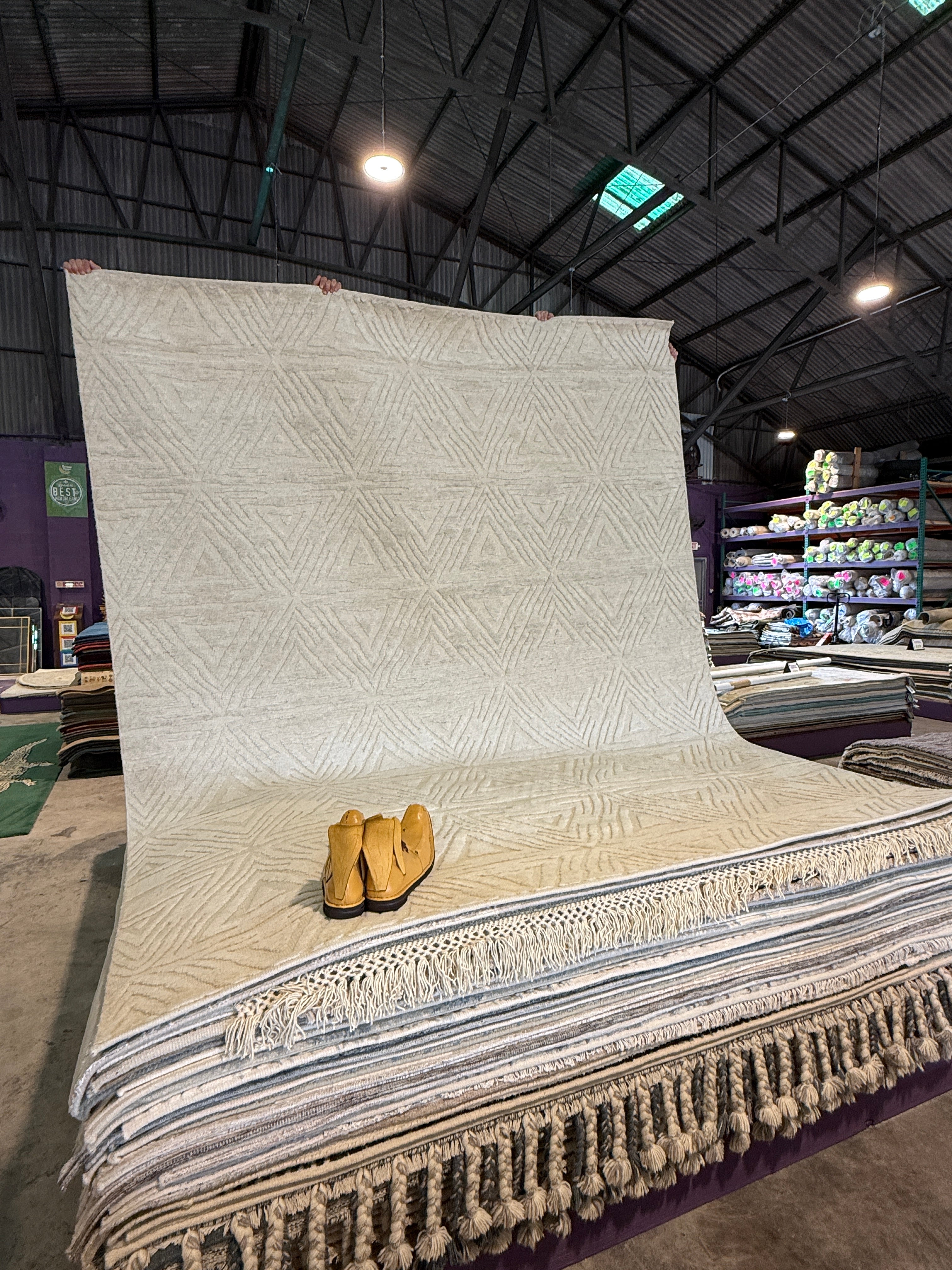Luciano 8x10 Hand-Knotted Ivory High Low